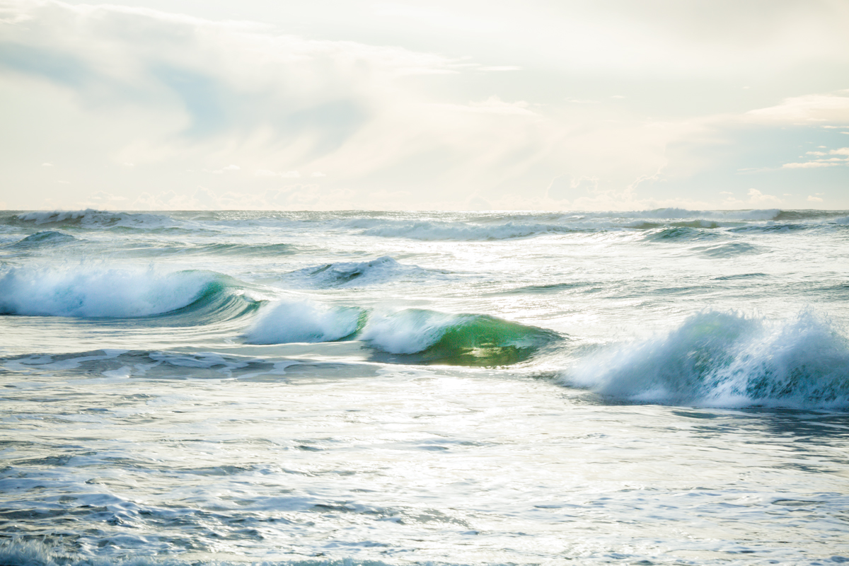 20150810-1X1A5810-Edit-2.jpg