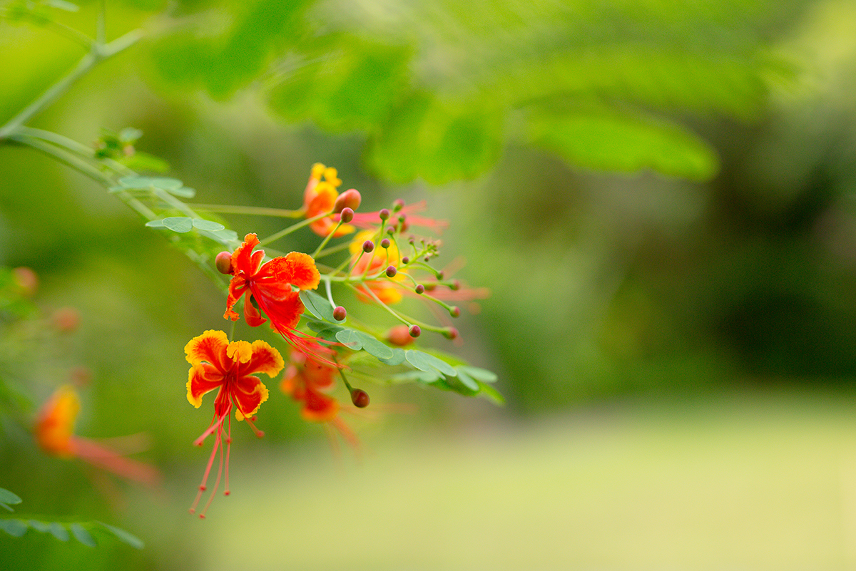 20160807-2T2A9315 copy.jpg