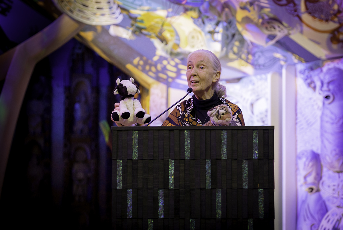 JaneGoodallPrint38 copy.jpg