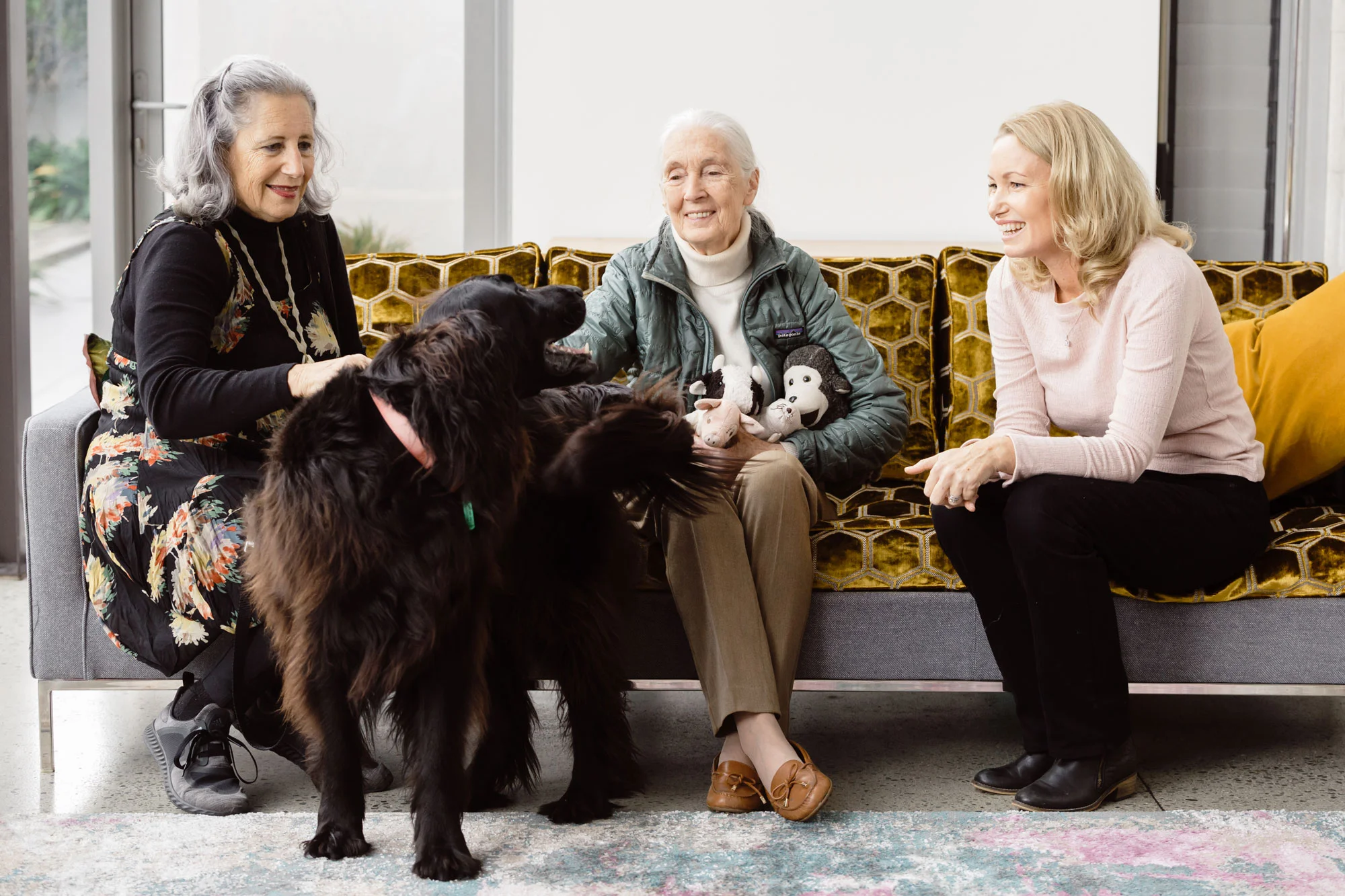 Melanie Vivian (right) CEO of the Jane Goodall Institute of New Zealand, with her mother and family dog greeting Jane.