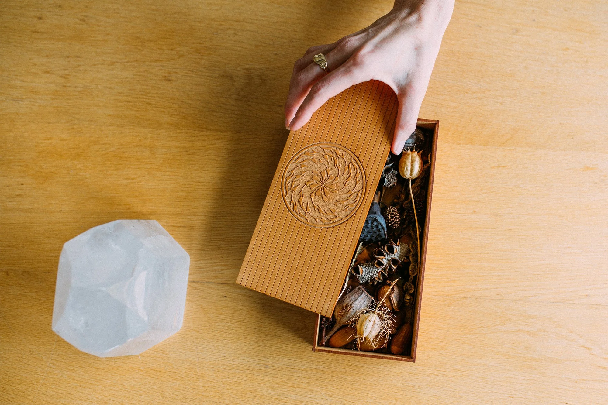 EmilyOtari-10 copy.jpg