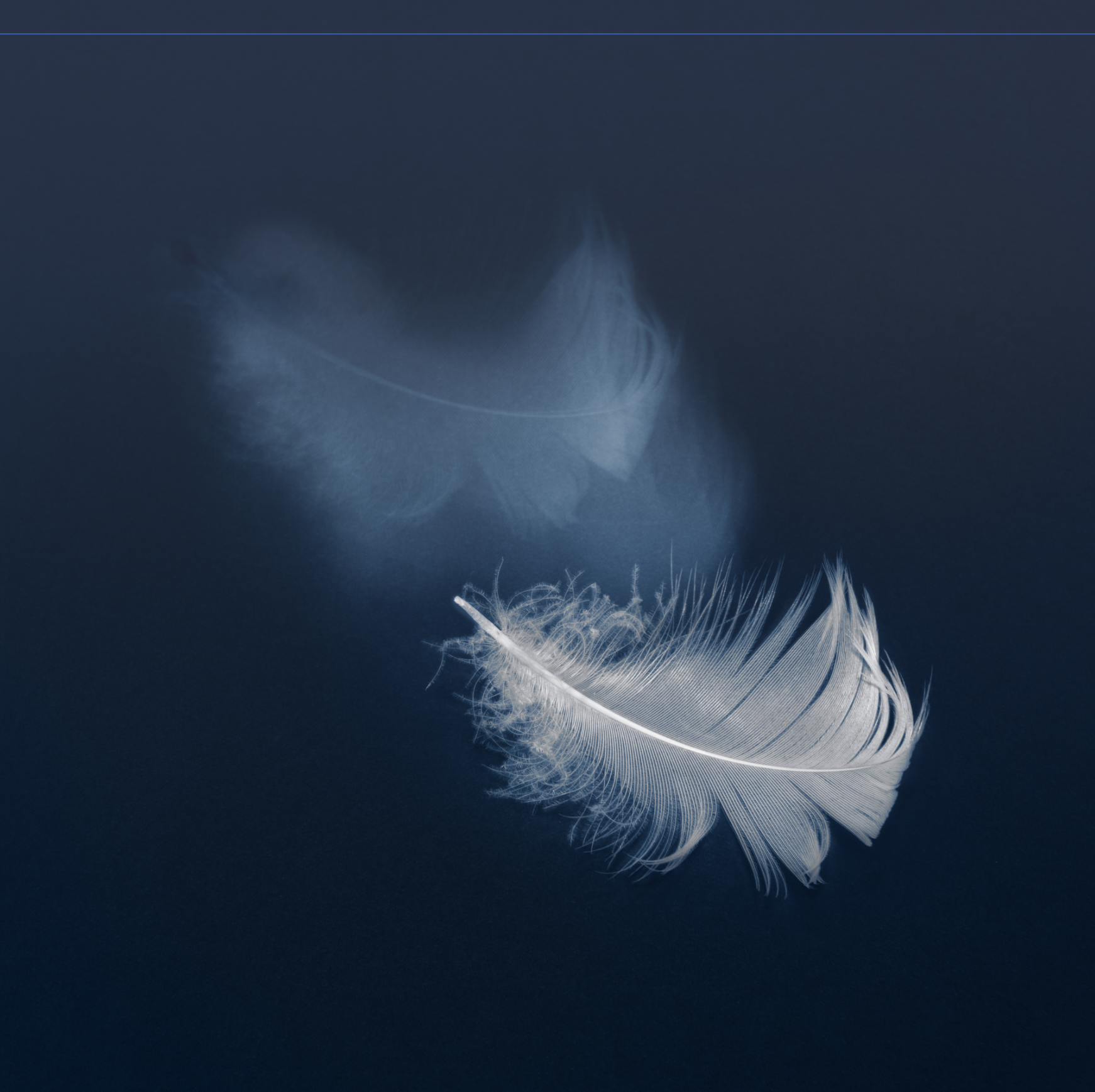 Gently Held #2