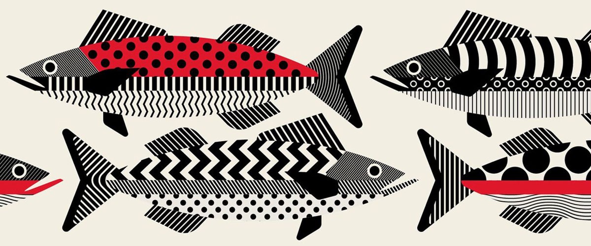 adobe-create-magazine-minimal-lines-fish.jpg