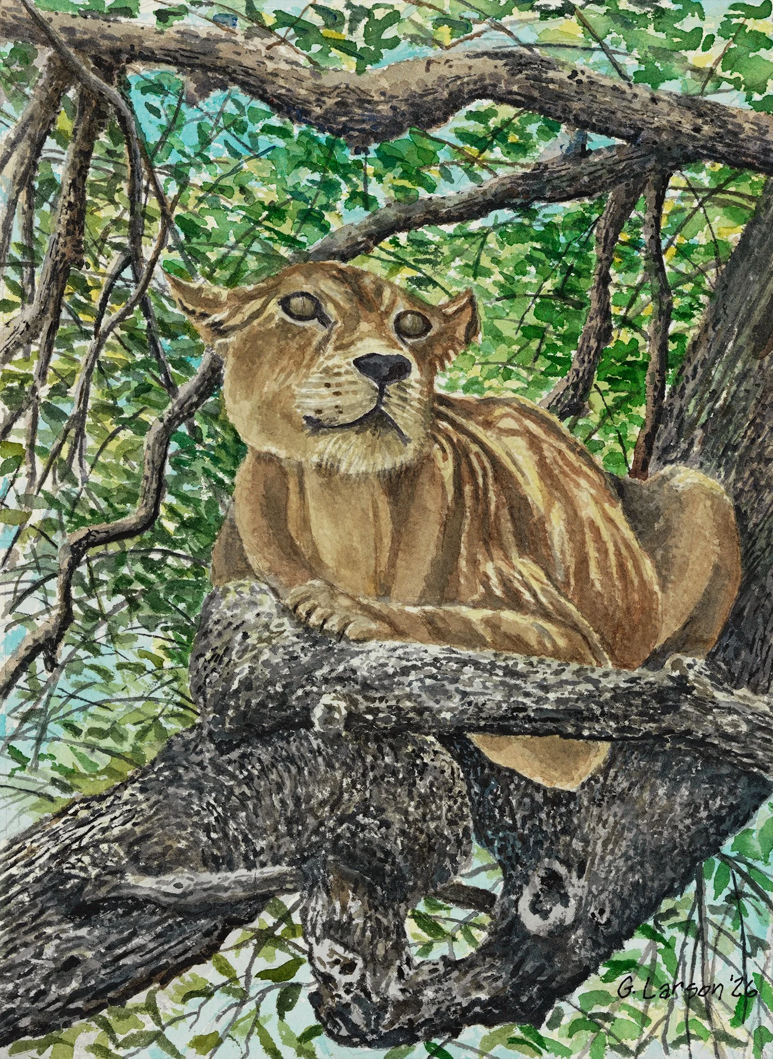 Lioness Above the Serengeti