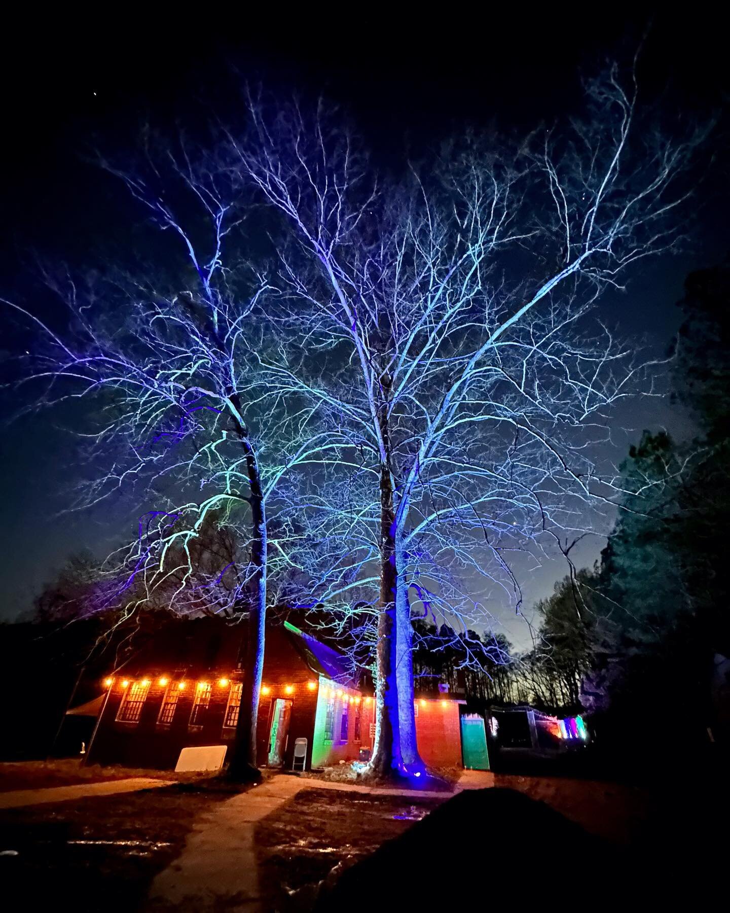 Lights are finally on!!!!! At Freedom Hill Resort (campsites/RV/tiny homes). #campgrounds #campground #rvliving #rvlife #tinyhouse #tinyliving #vanlife #floodlights #gardenlights #landscapephotography #landscape #landscapelightingdesign #landscapingl