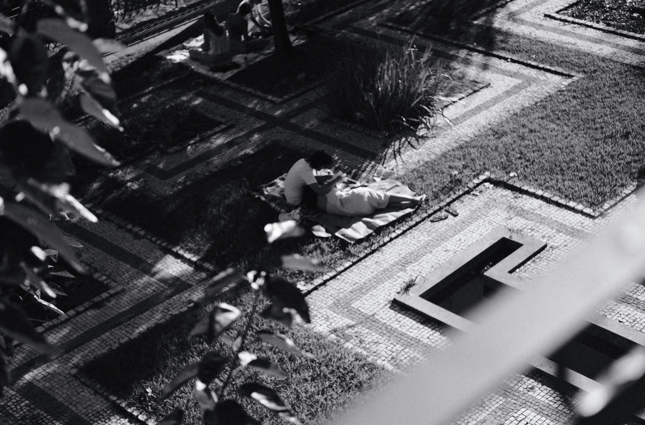 Identify Patterns.png