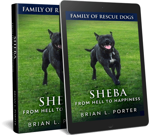 Sheba - From Hell To Happiness