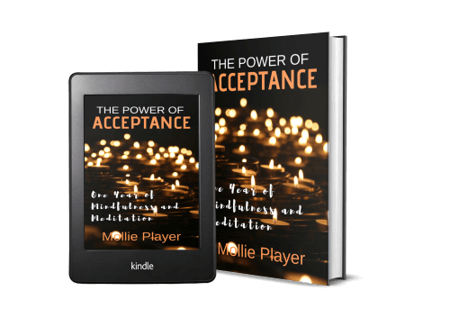 The Power Of Acceptance - One Year Of Mindfulness And Meditation
