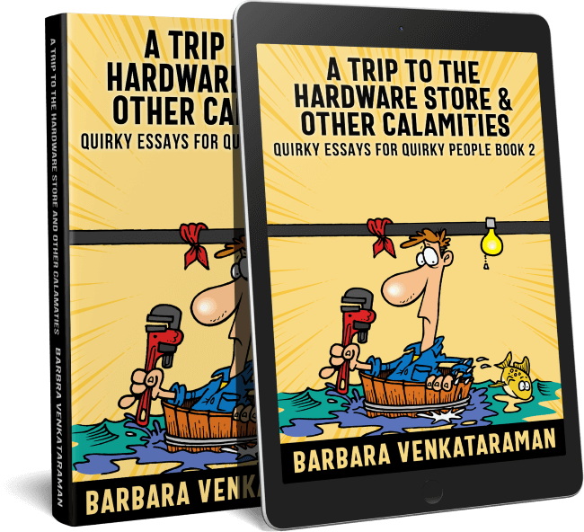 A Trip to the Hardware Store &amp; Other Calamities