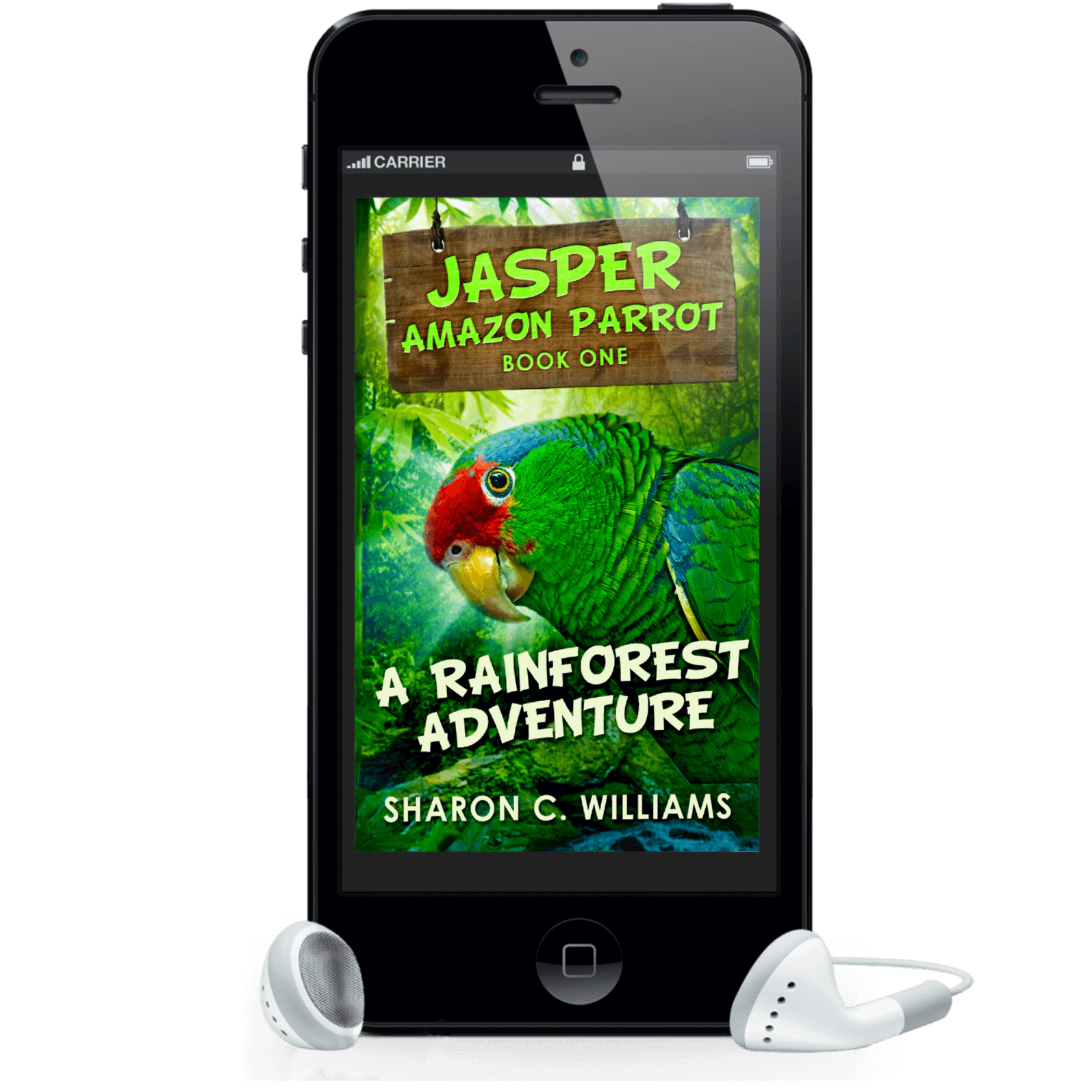 A Rainforest Adventure