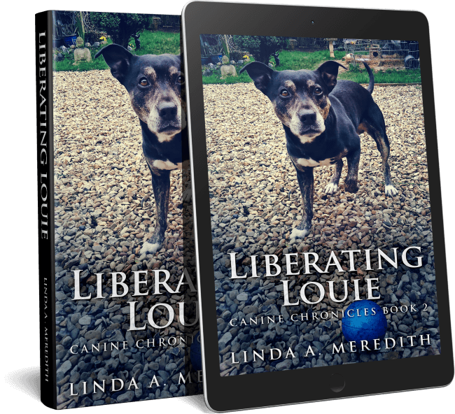 Liberating Louie
