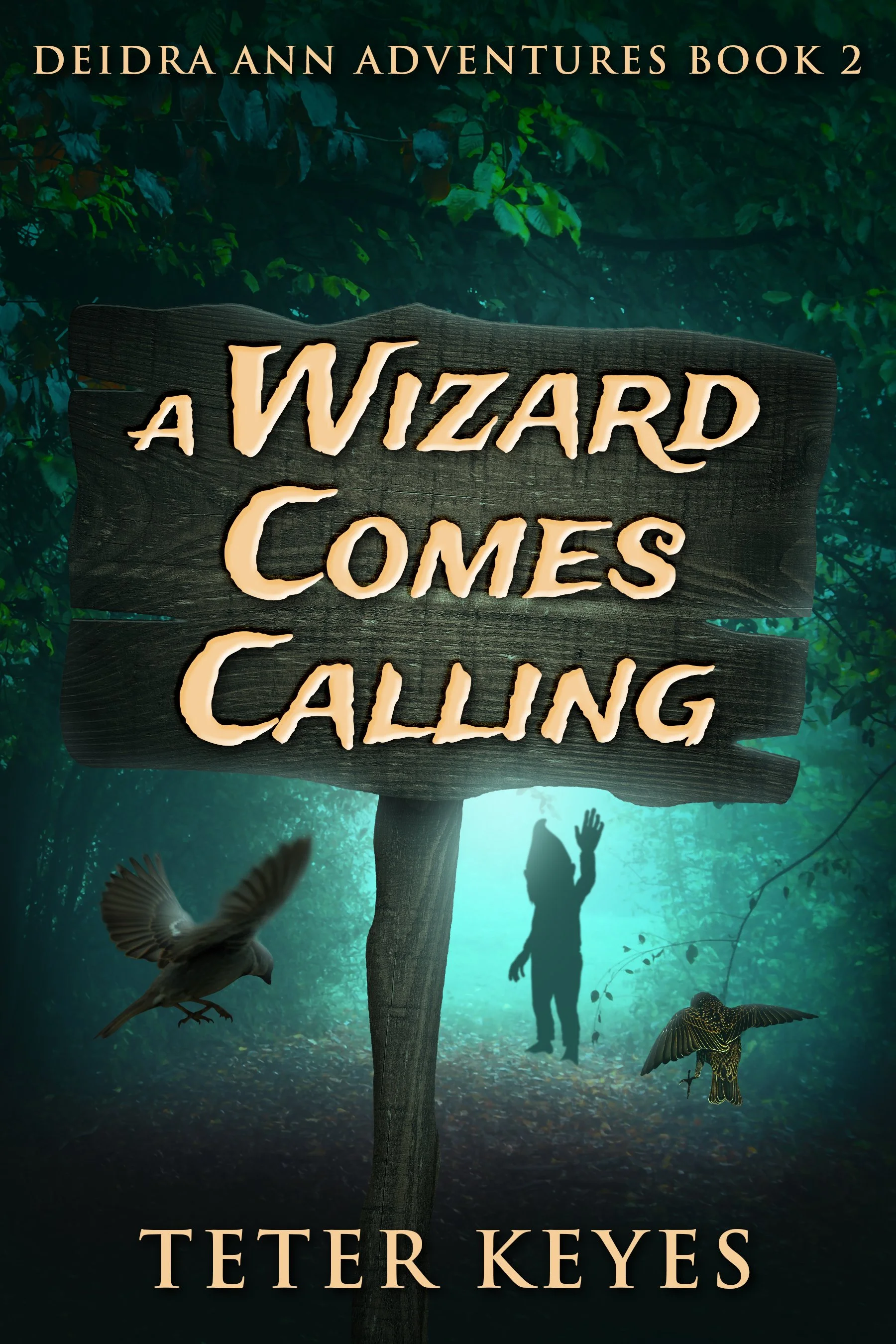 A Wizard Comes Calling (Deidra Ann Adventures Book 2) - Teter Keyes