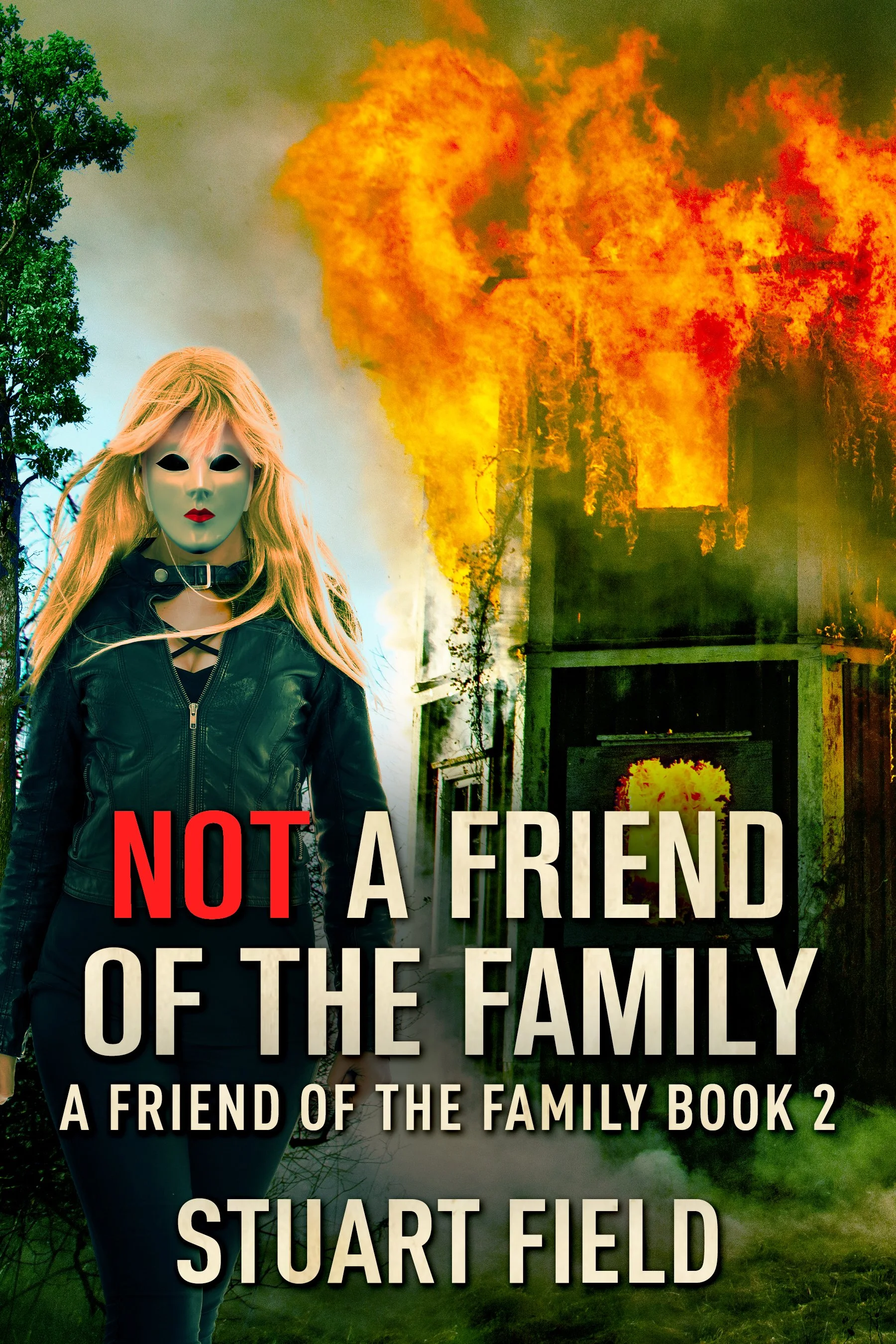 Not A Friend Of The Family (A Friend Of The Family Book 2) 