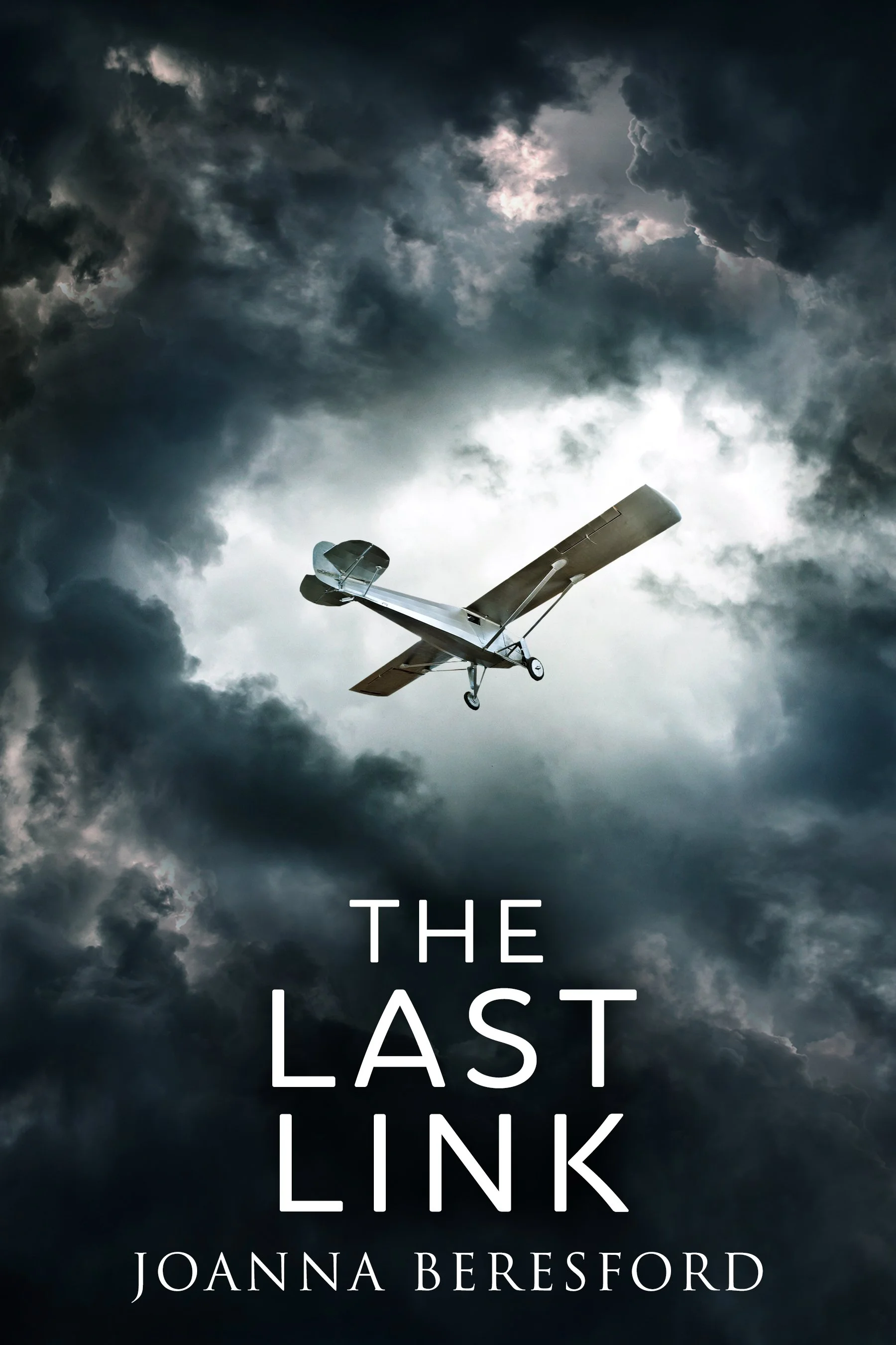 The Last Link - Joanna Beresford