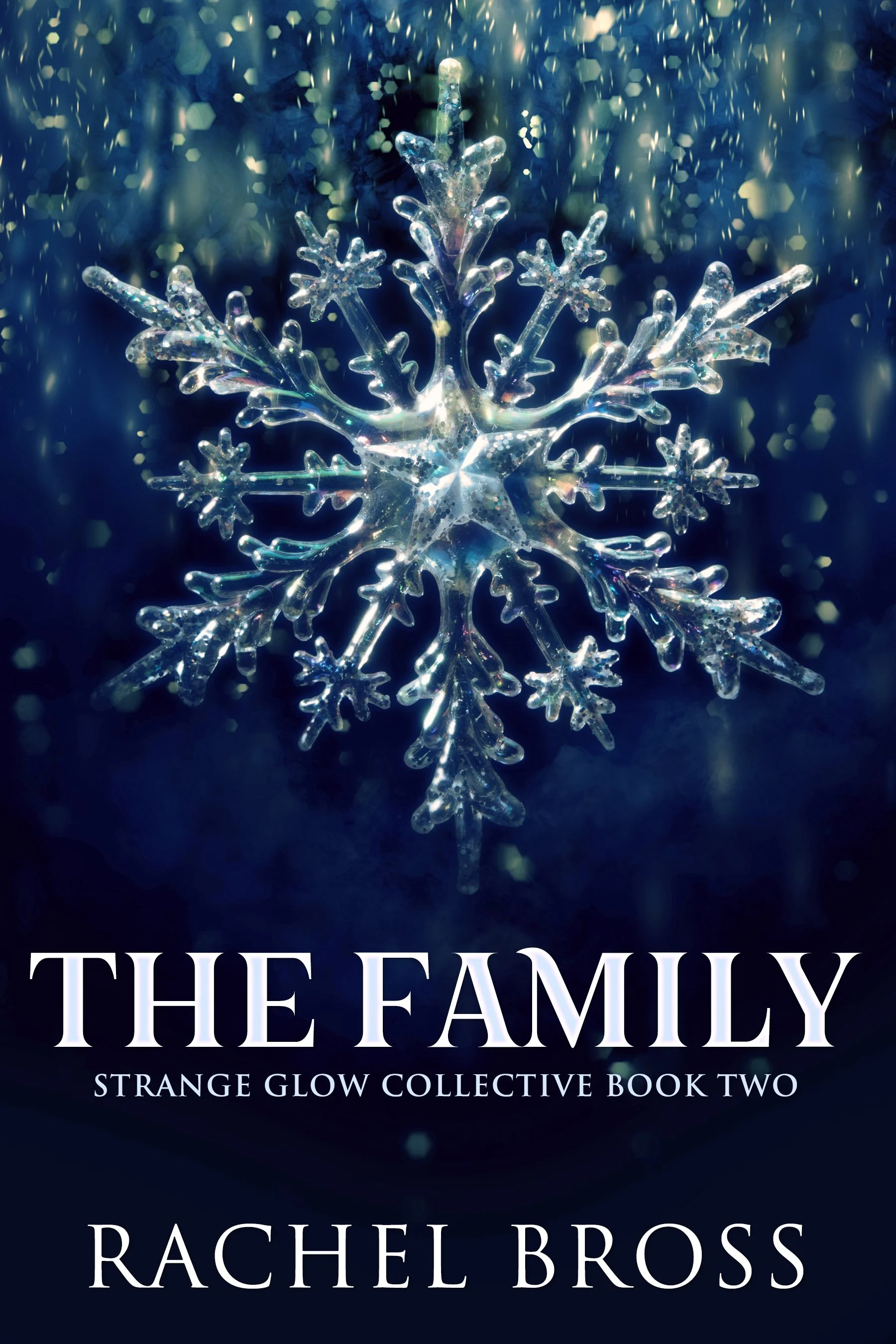 The Family (Strange Glow Collective Book 2) - Rachel Bross