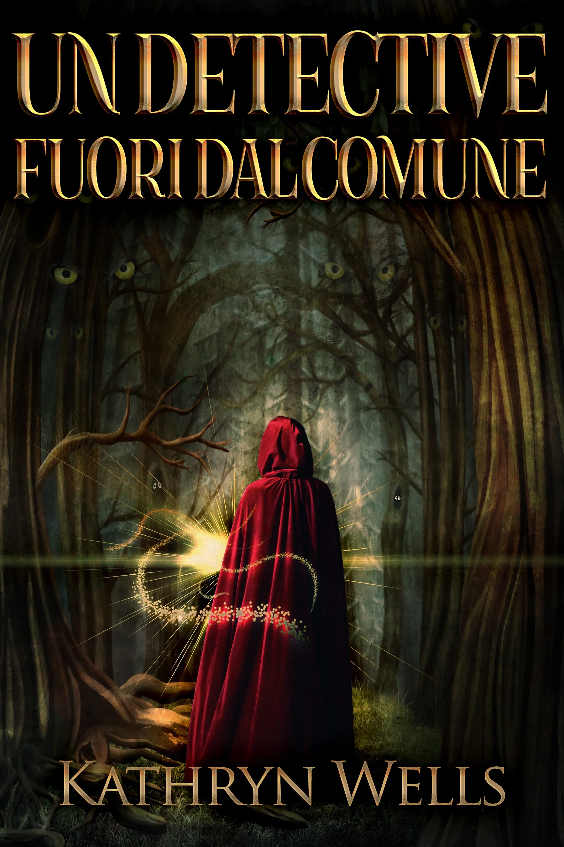 Un Detective Fuori dal Comune - Kathryn Wells