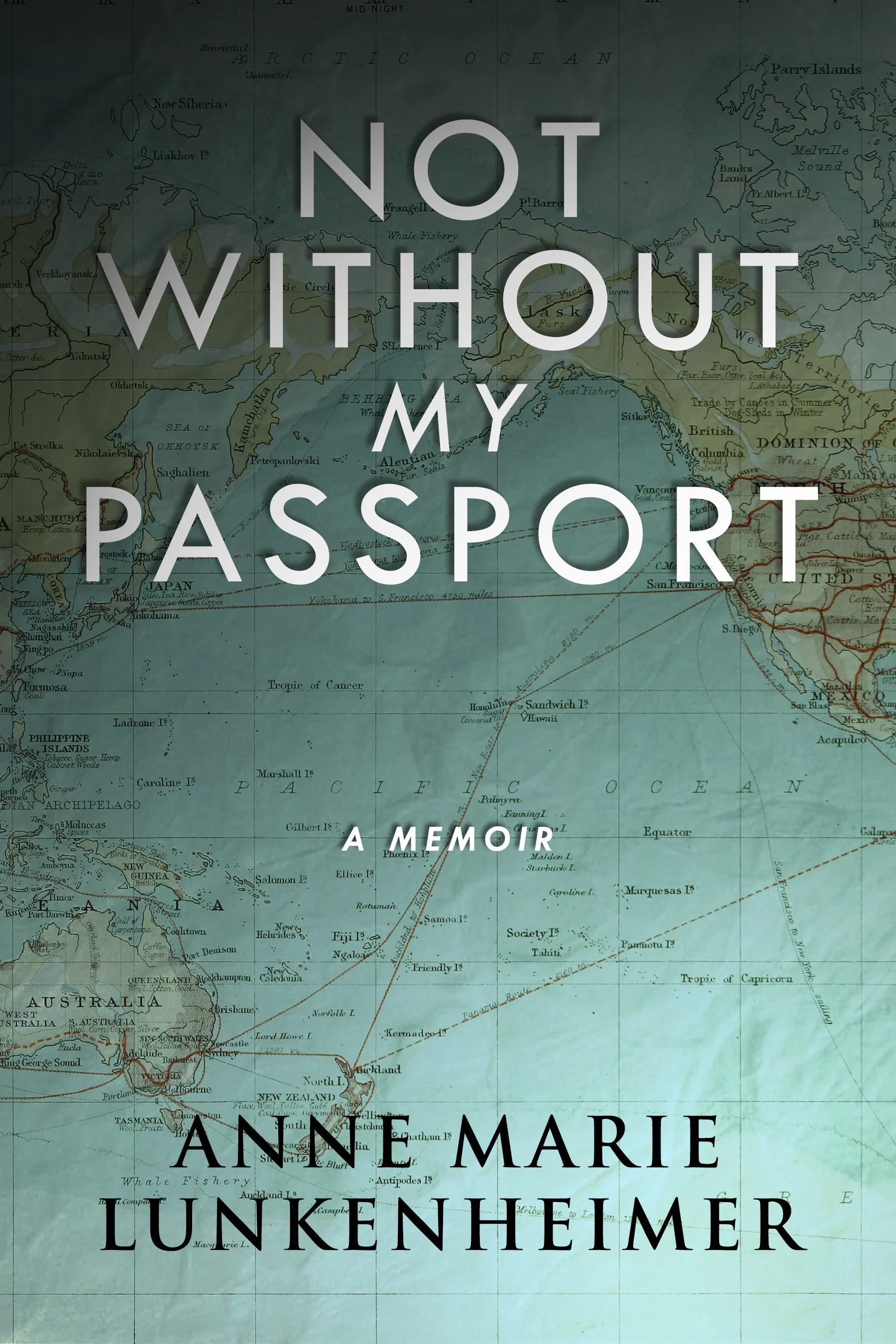 Not Without My Passport - Anne Marie Lunkenheimer