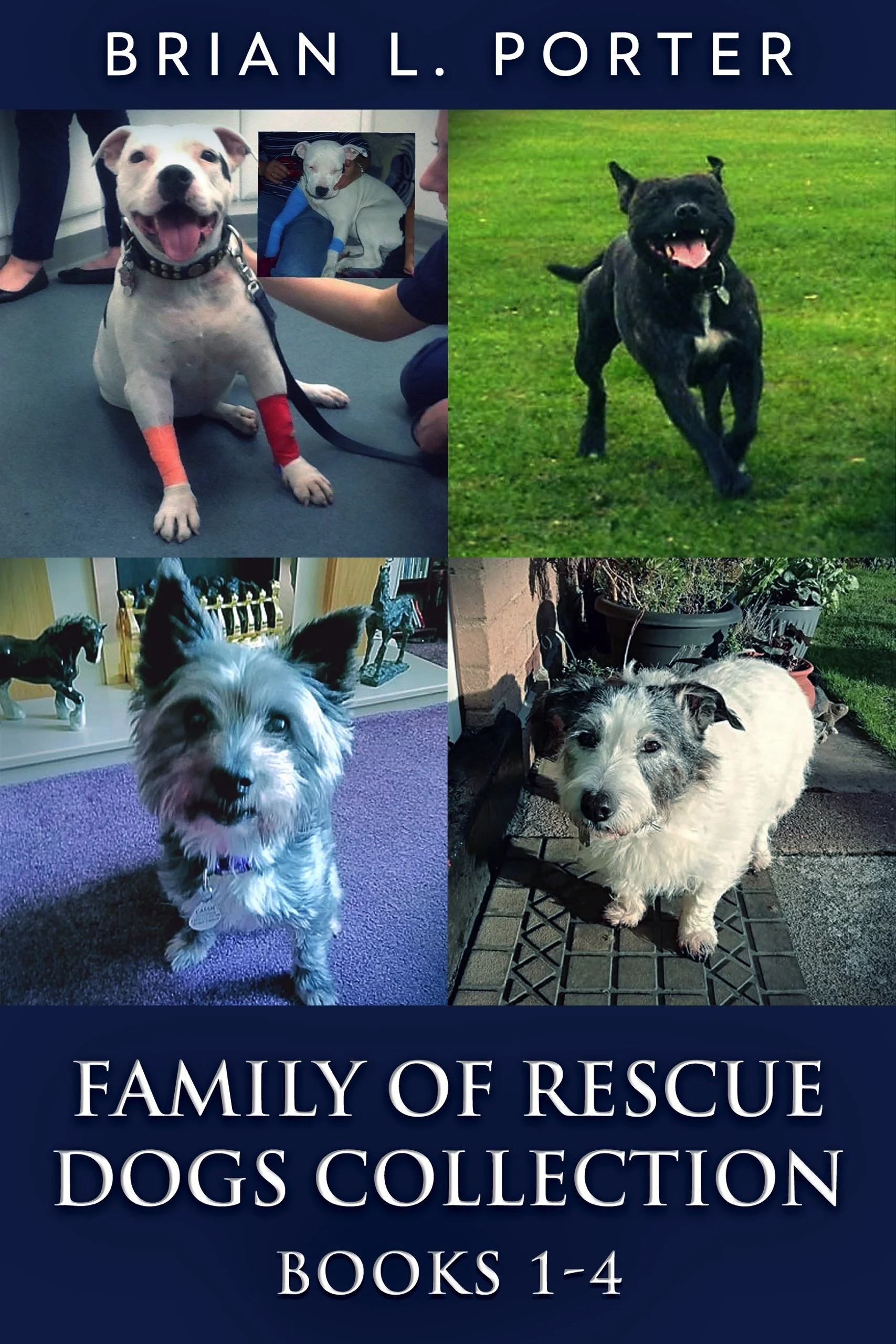 Family Of Rescue Dogs Collection - Books 1-4
