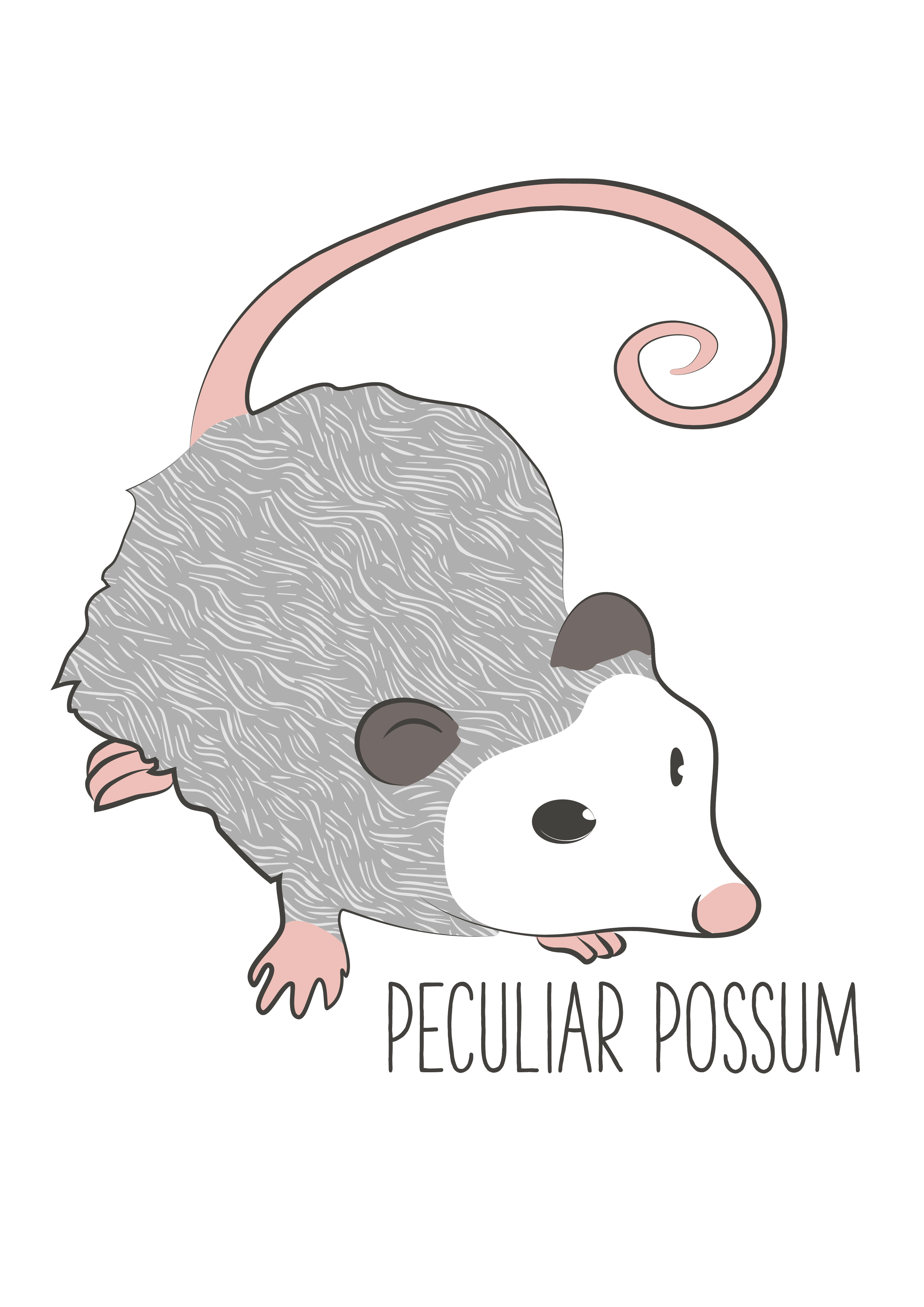 Peculiar Possum_b_t.png