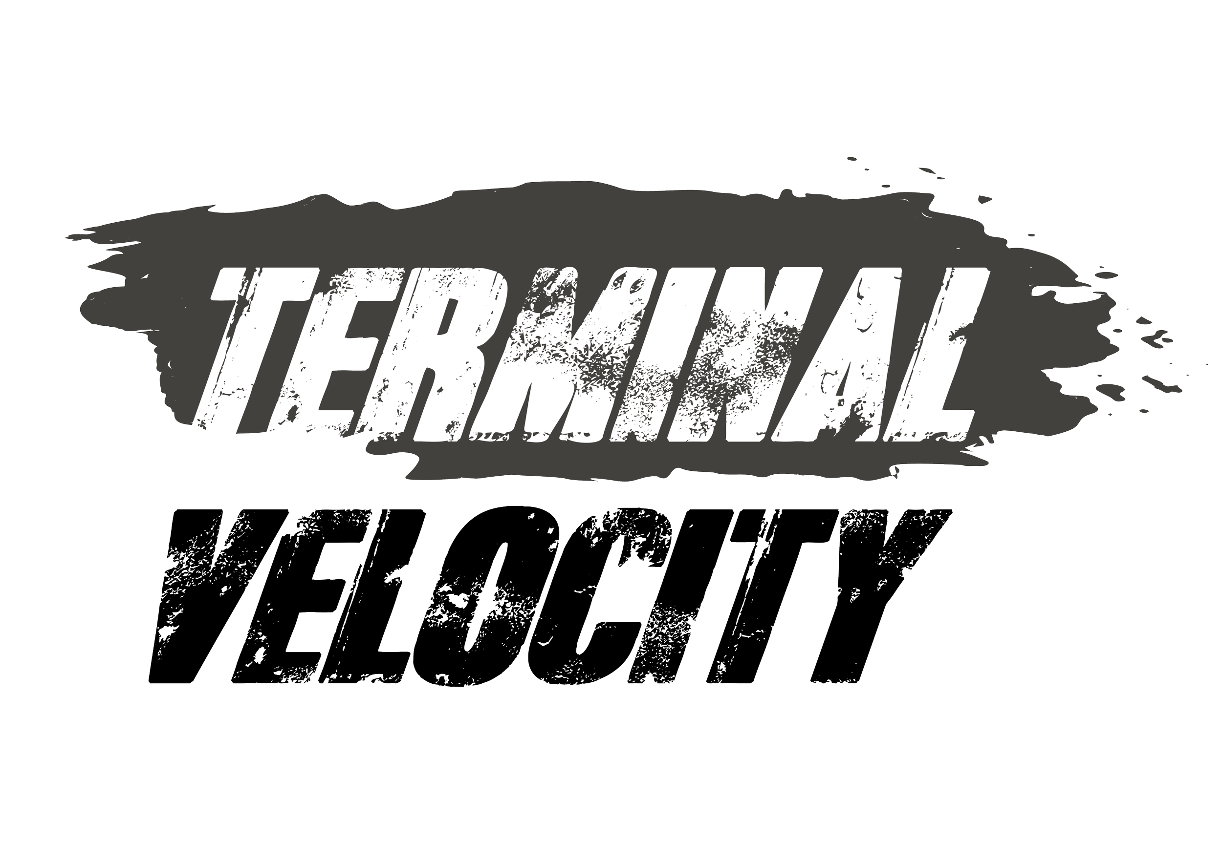 Terminal Velocity_b_t.png