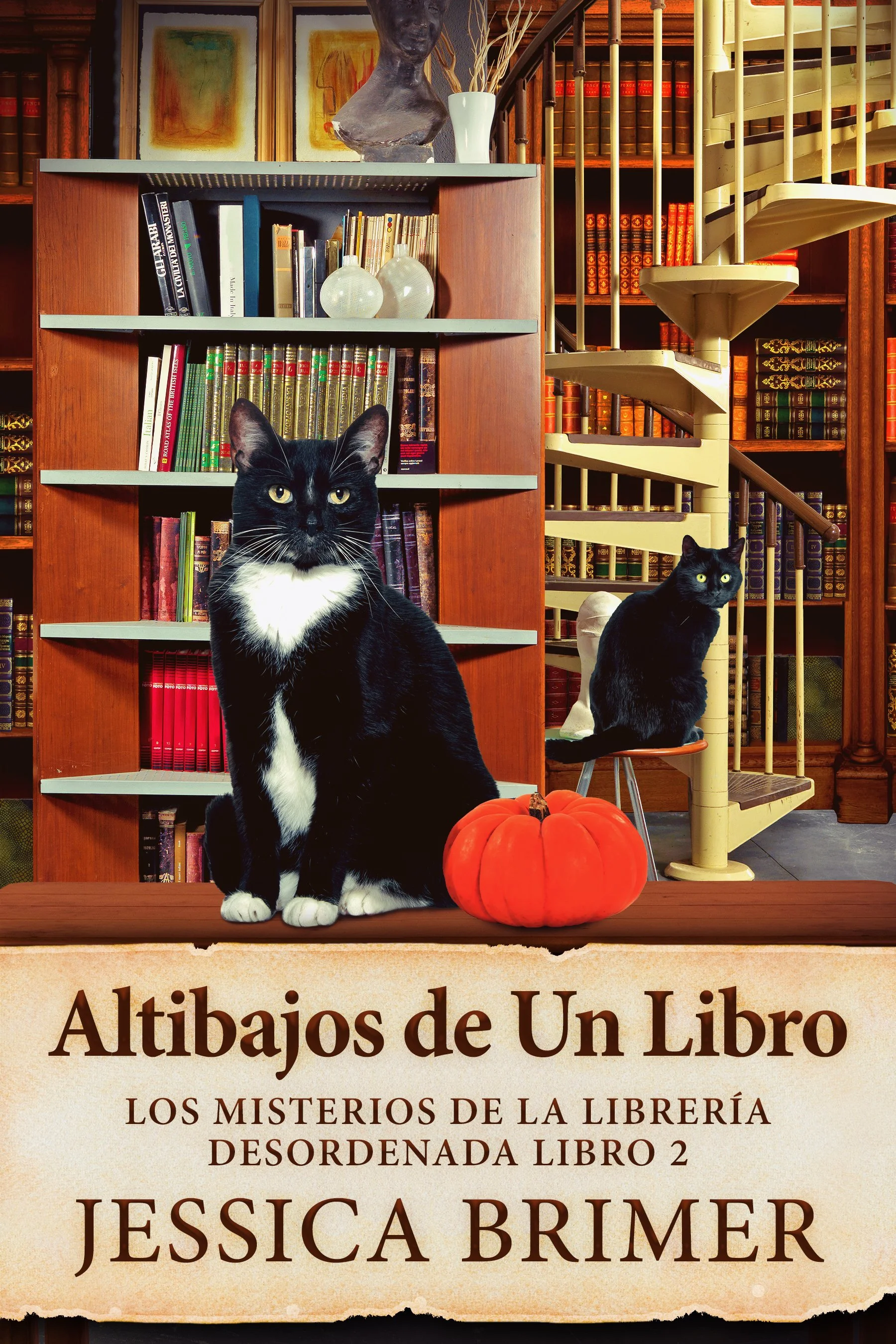 Altibajos de Un Libro (Los misterios de la librería desordenada Libro 2)