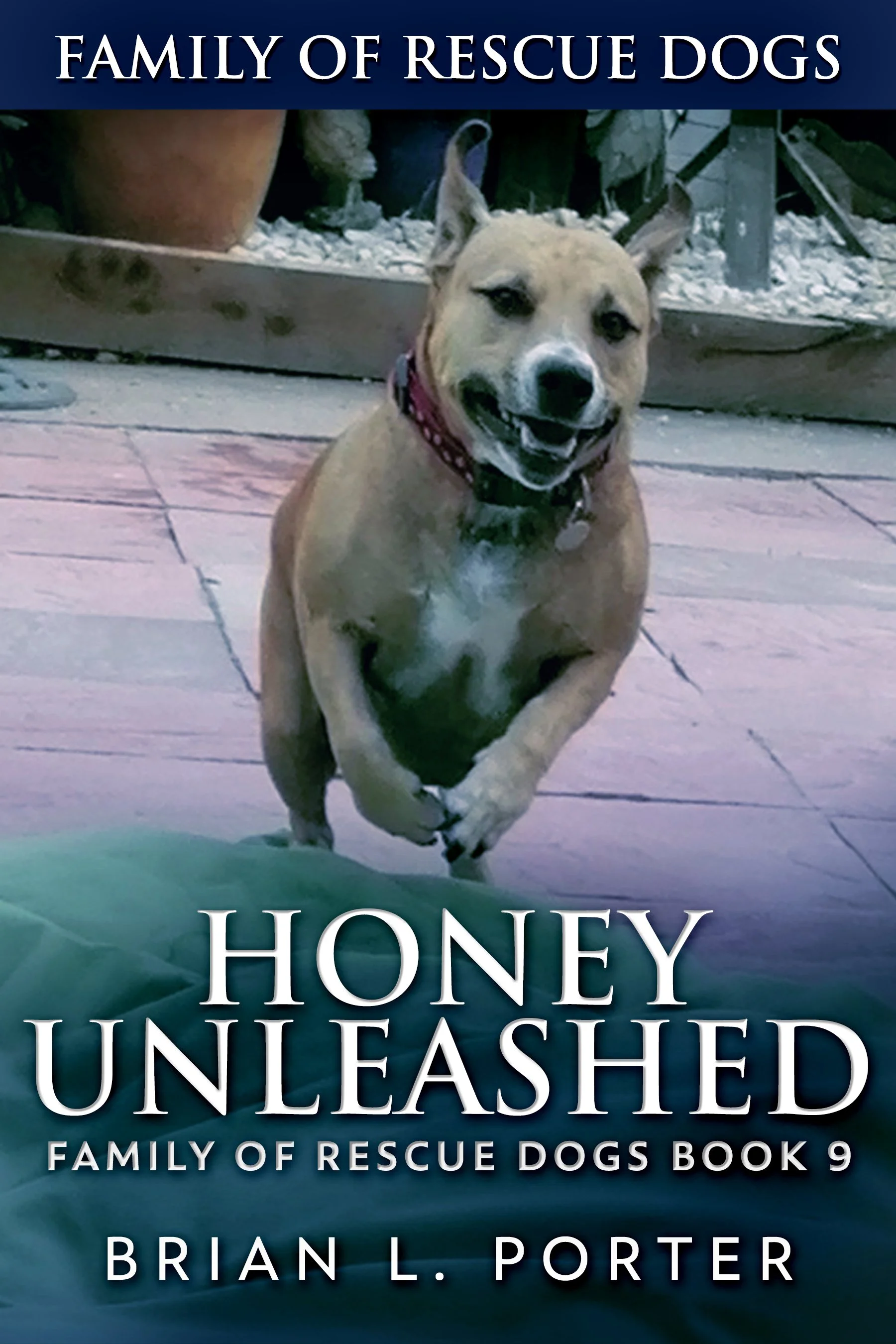 Honey Unleashed (Family Of Rescue Dogs Book 9)