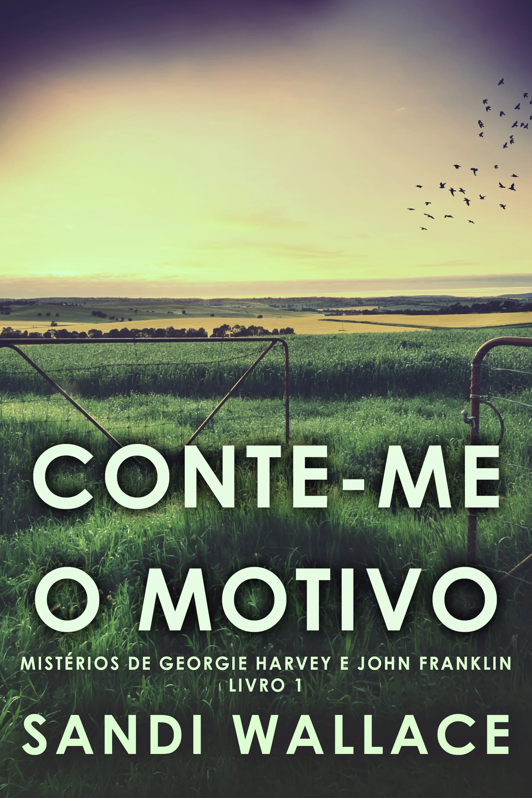 Conte-me O Motivo (Mistérios de Georgie Harvey e John Franklin Livro 1)