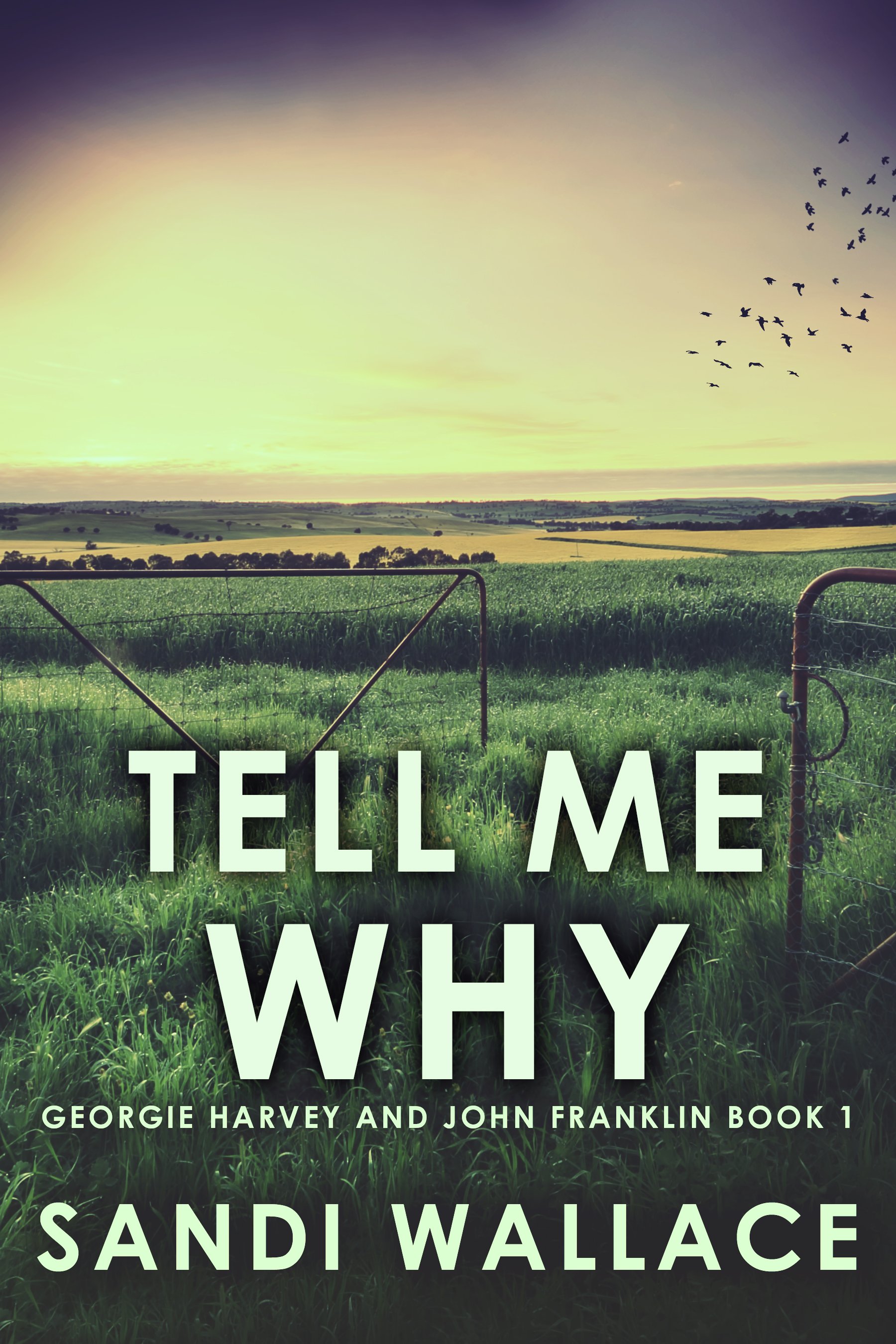 Tell Me Why (Georgie Harvey and John Franklin Book 1)