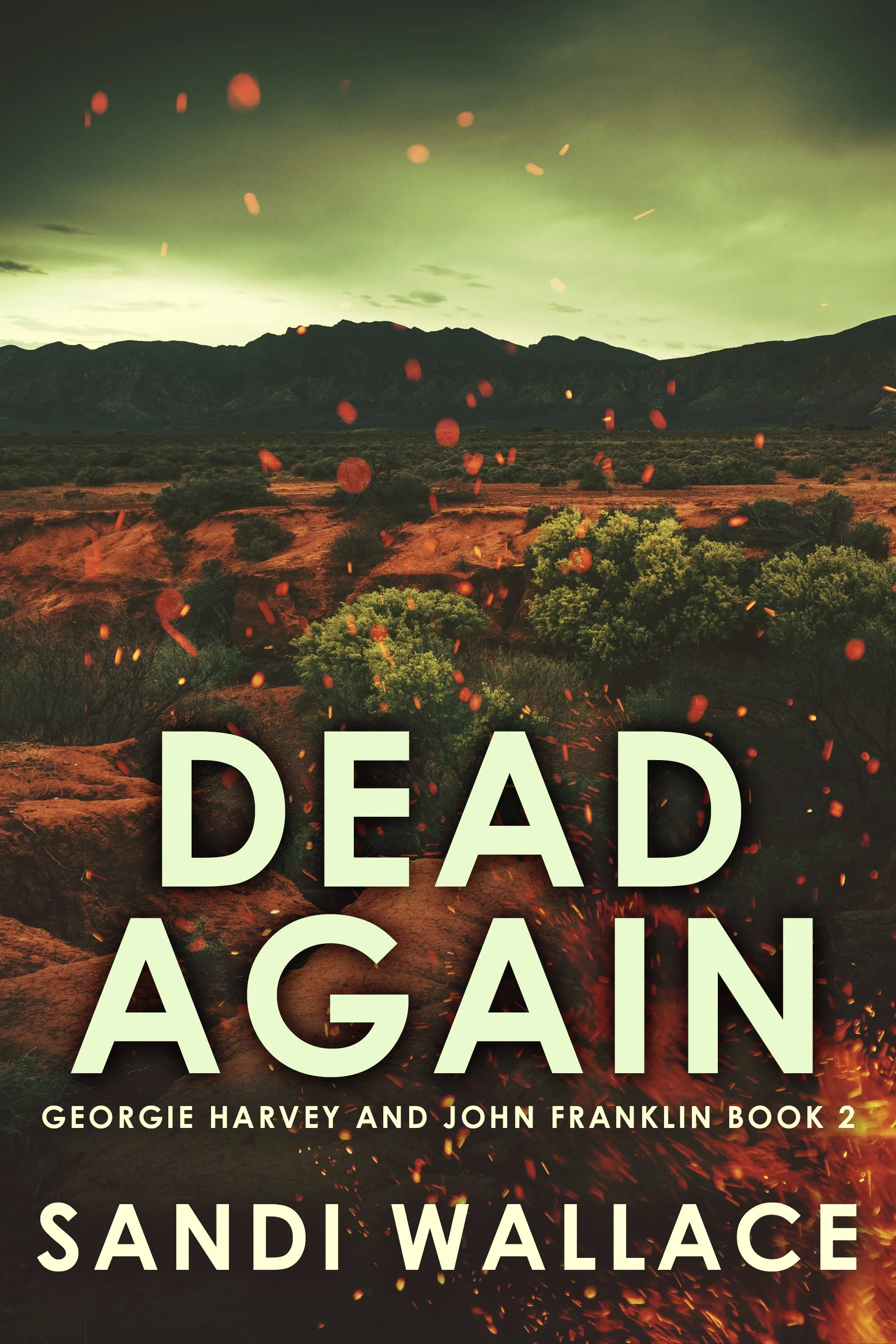 Dead Again (Georgie Harvey and John Franklin Book 2)