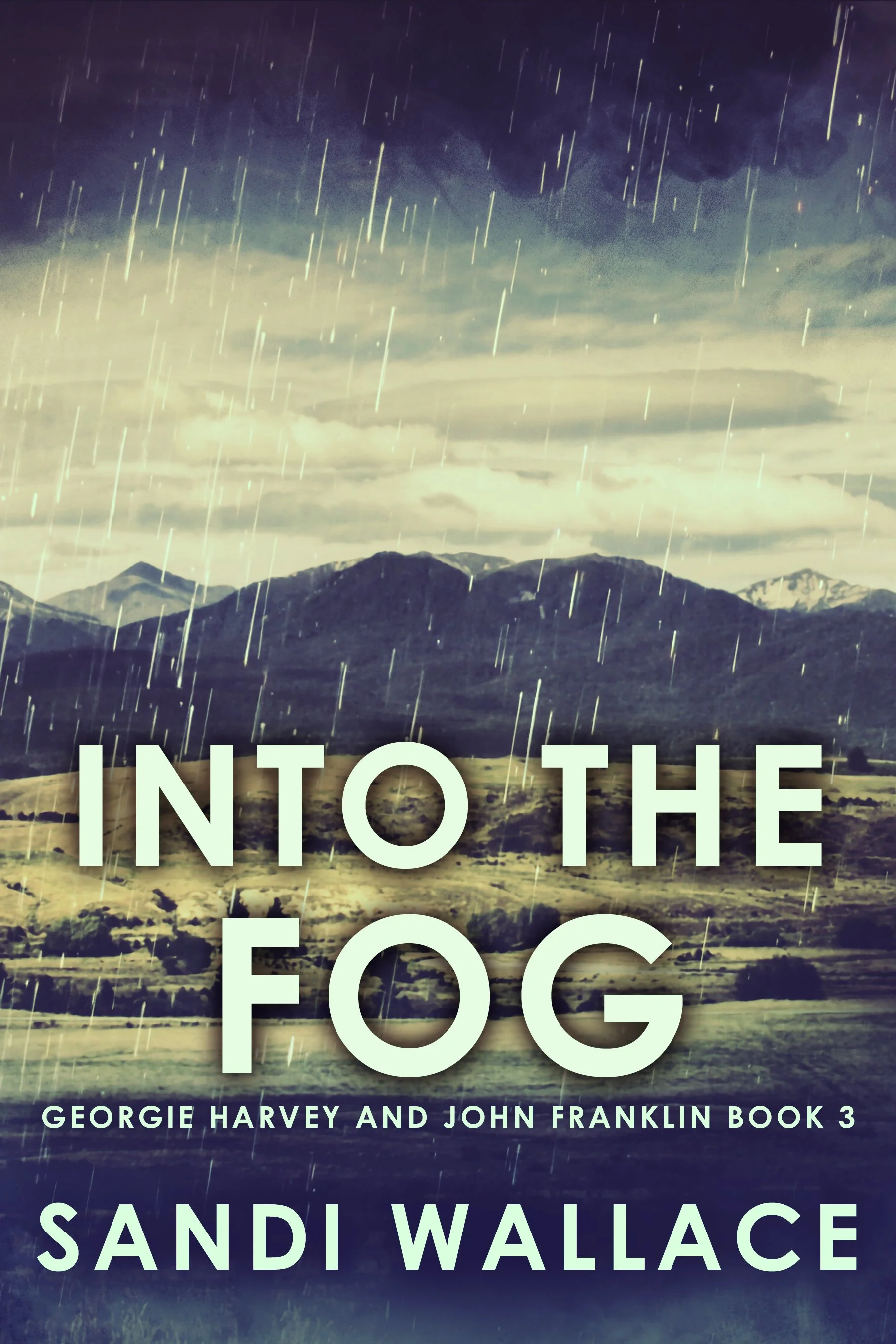 Into The Fog (Georgie Harvey and John Franklin Book 3)