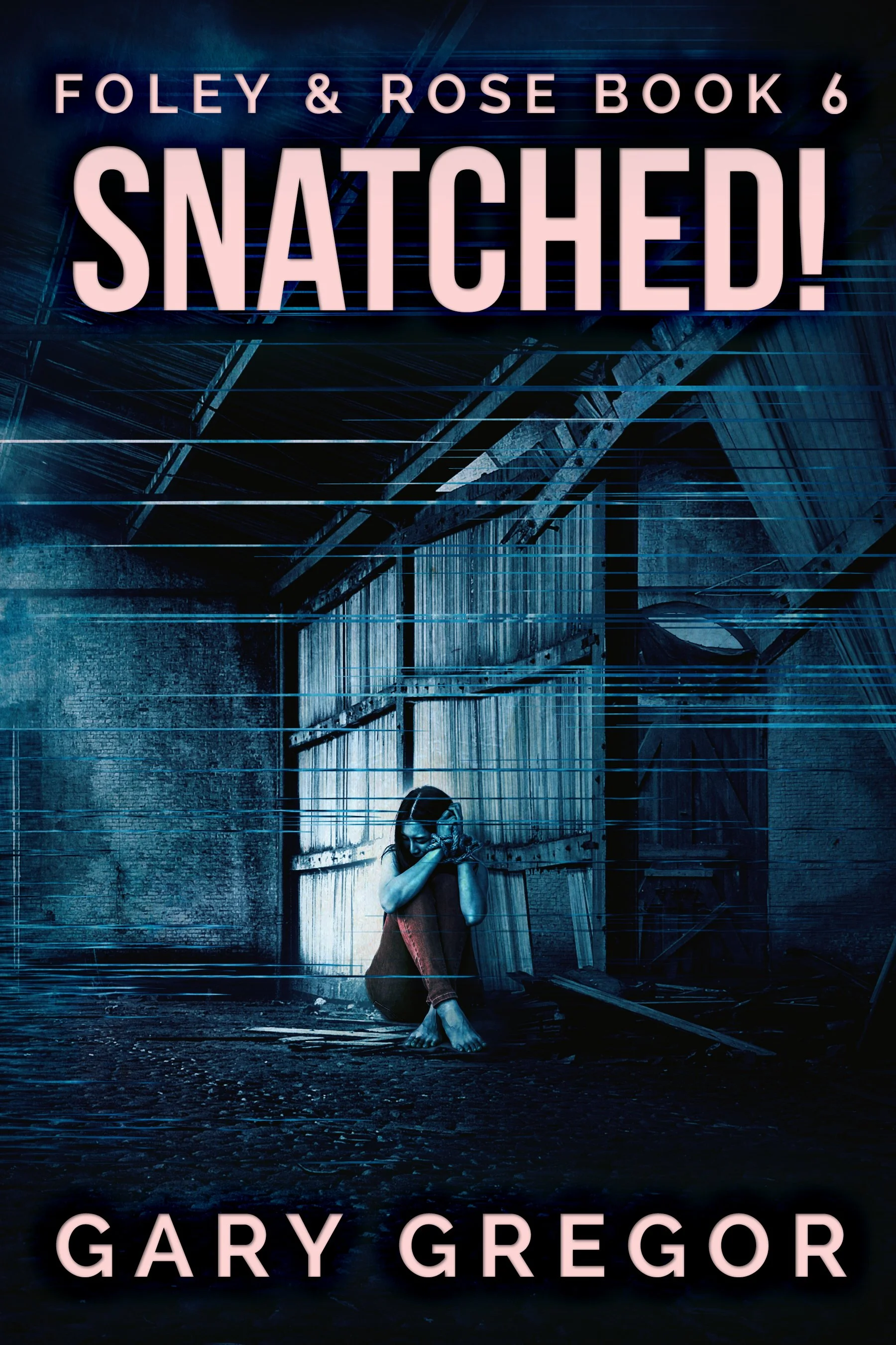 Snatched! (Foley &amp; Rose Book 6)