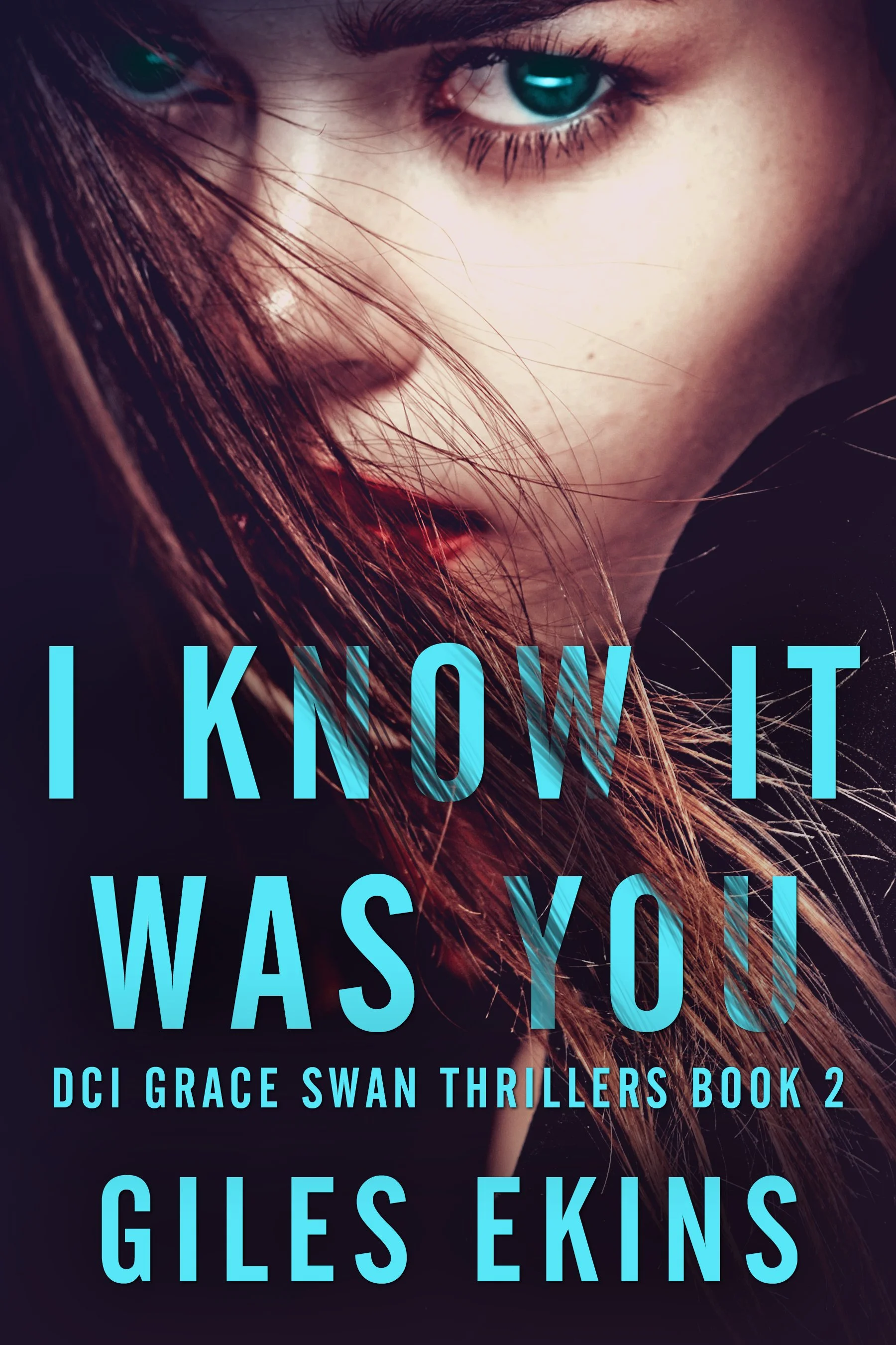 I Know It Was You (DCI Grace Swan Thrillers Book 2)