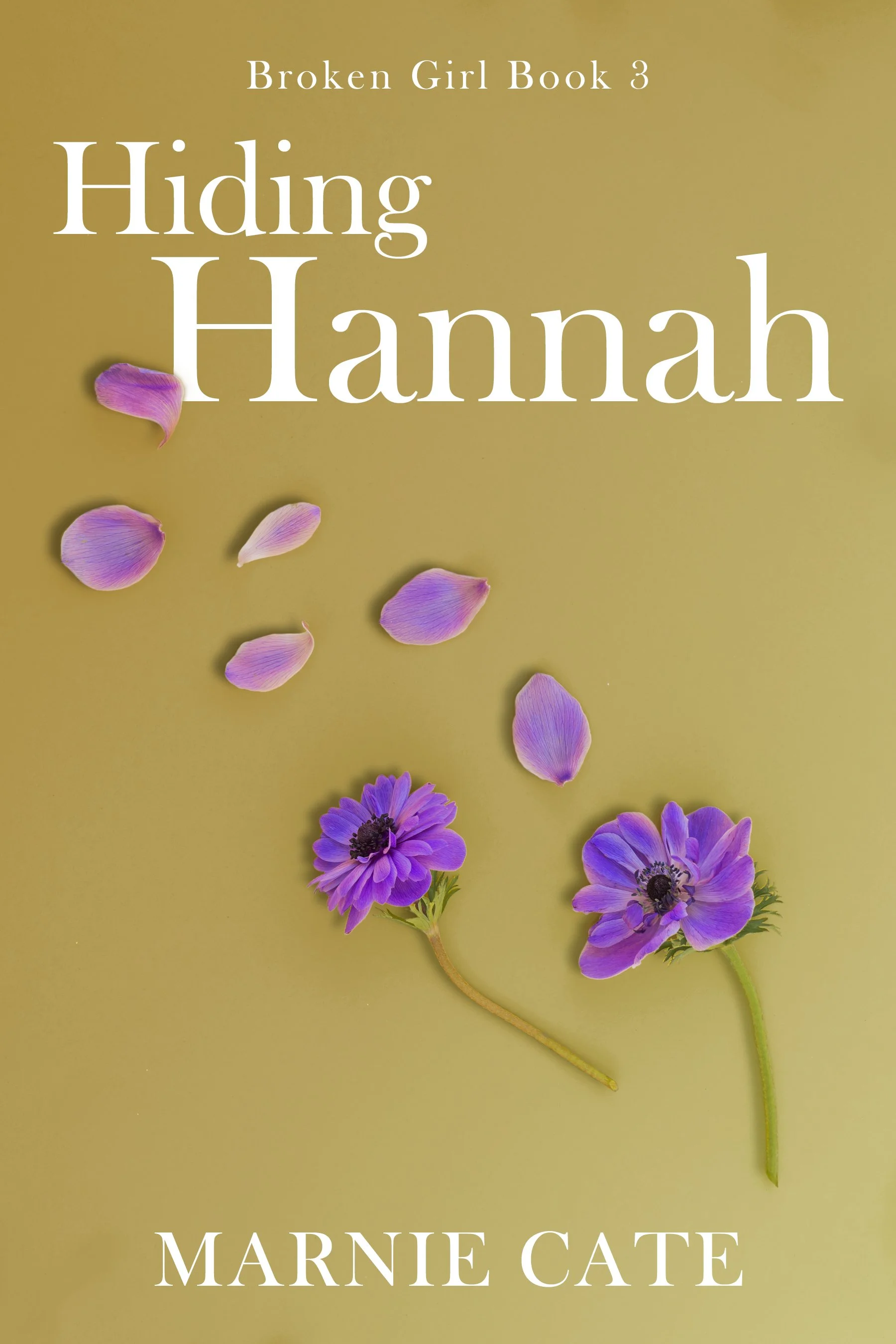 Hiding Hannah (Broken Girl Book 3)
