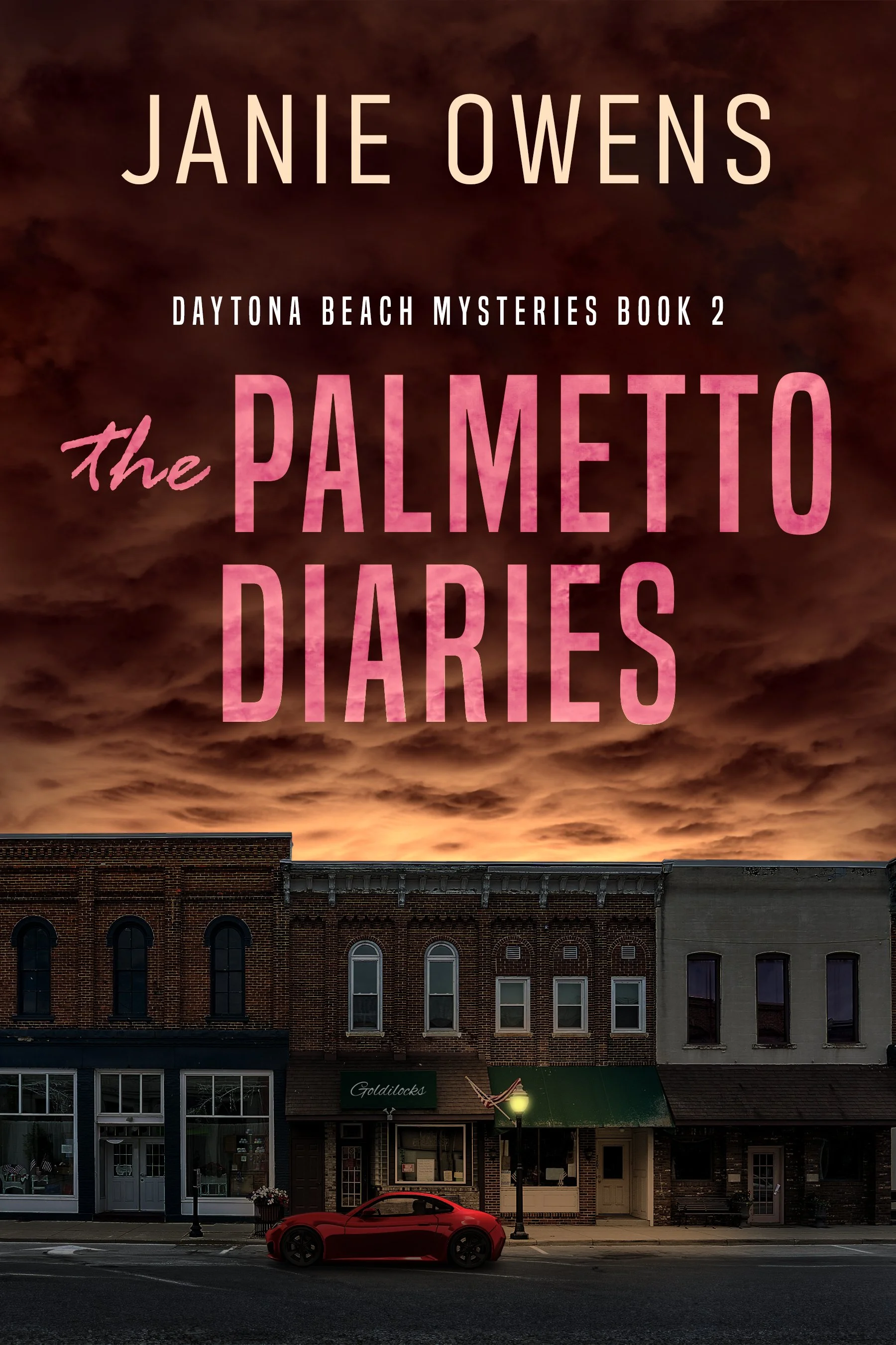 The Palmetto Diaries (Daytona Beach Mysteries Book 2)