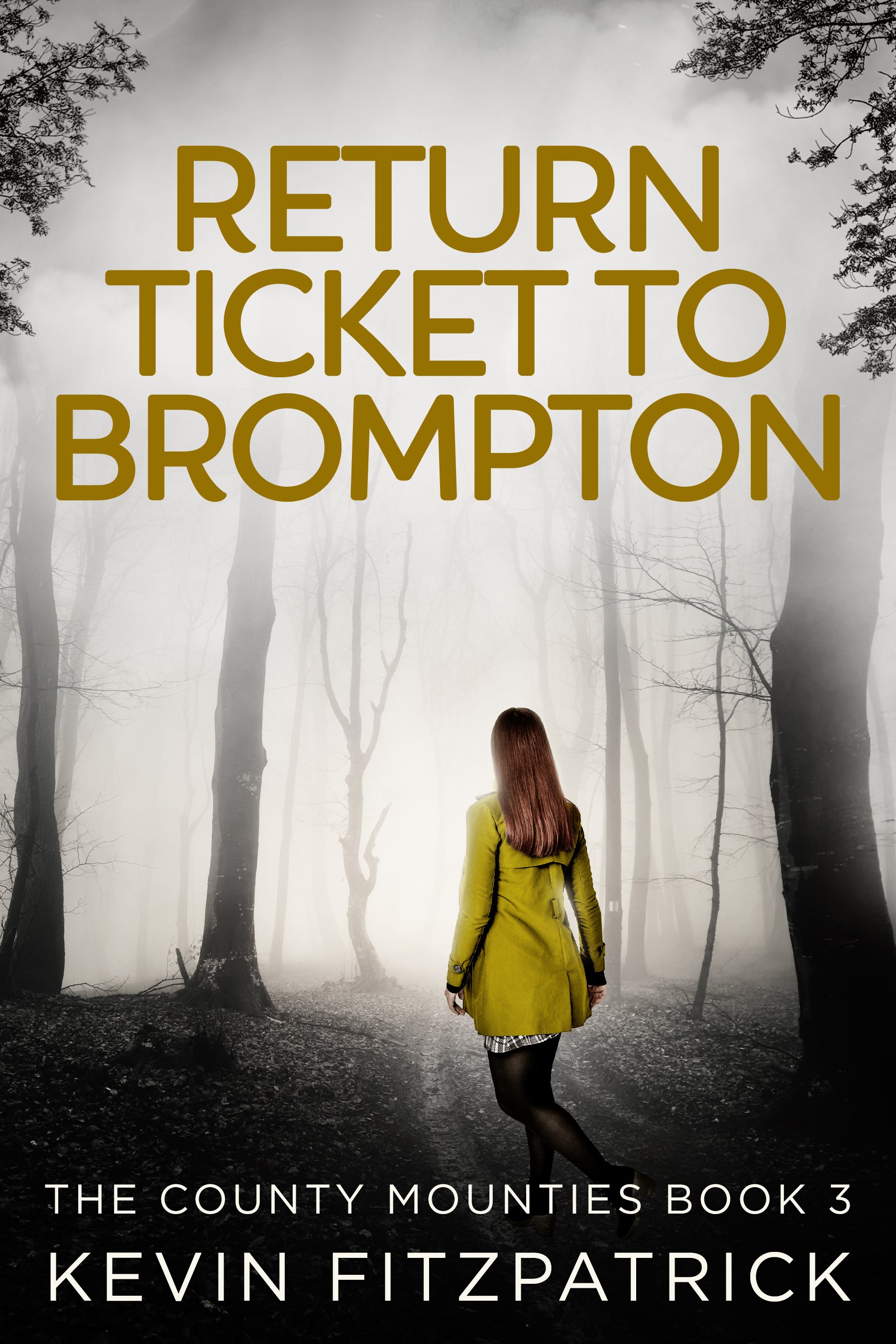 Return Ticket to Brompton (The County Mounties Book 3)