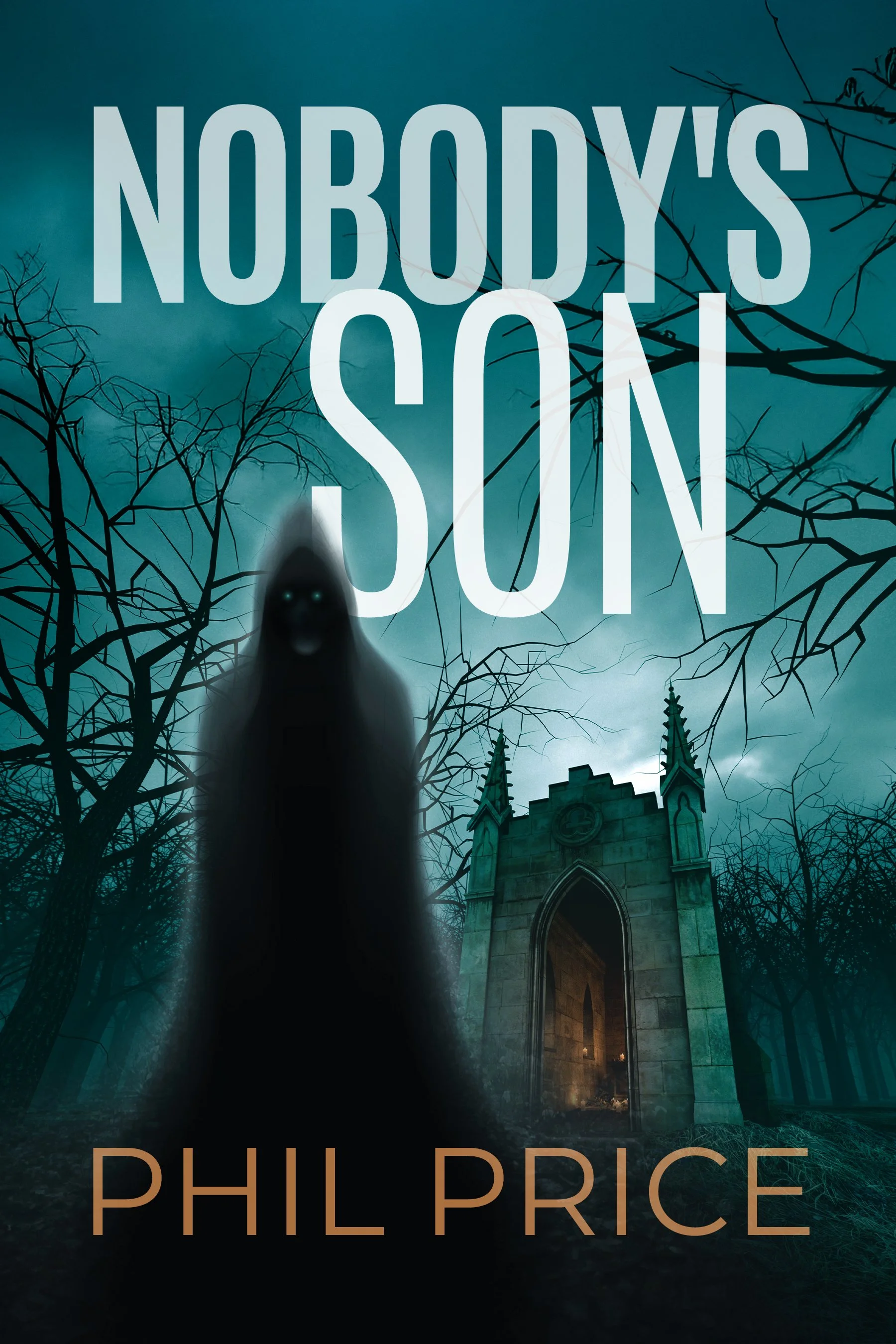 Nobody's Son