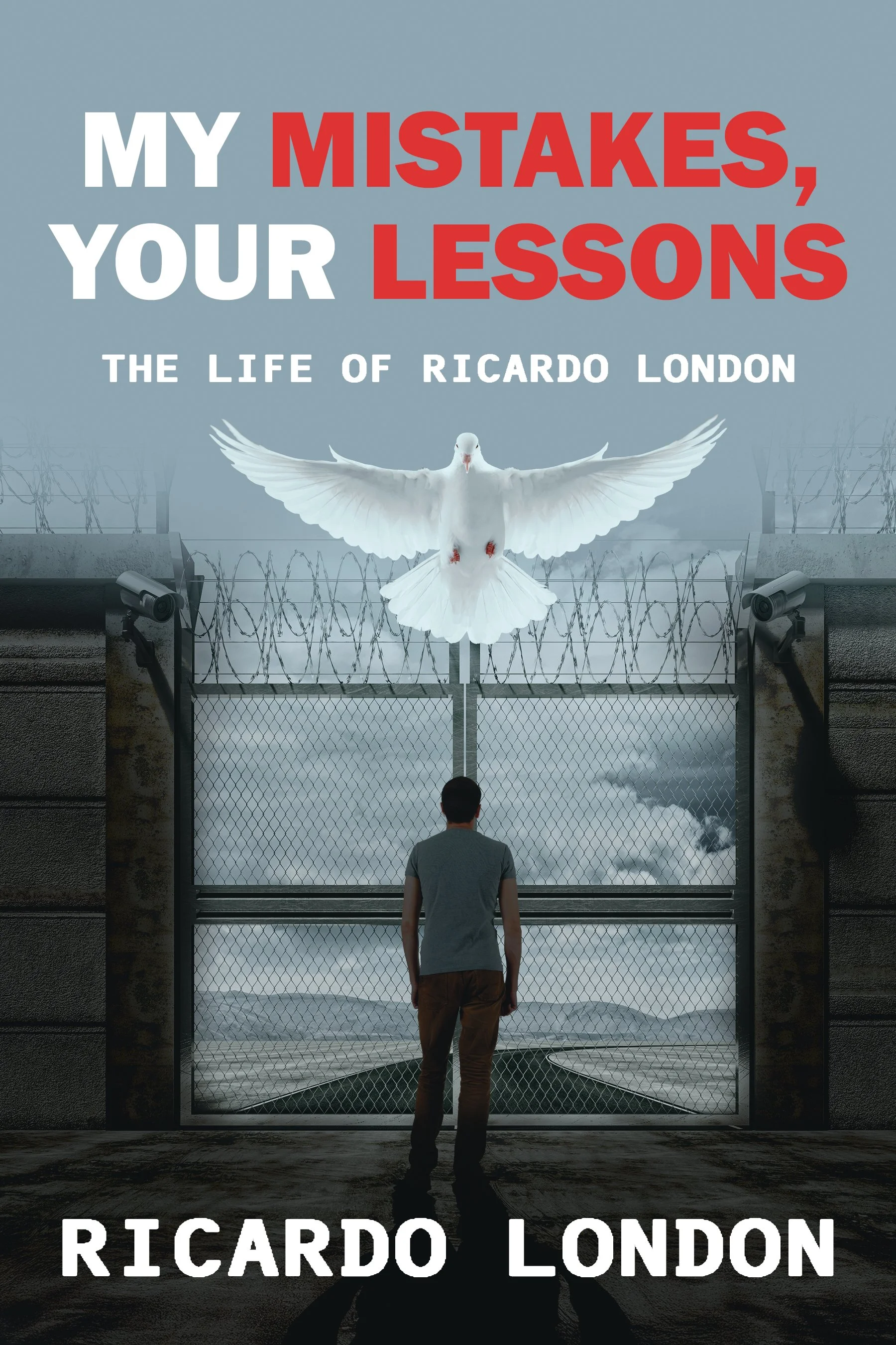 My Mistakes, Your Lessons