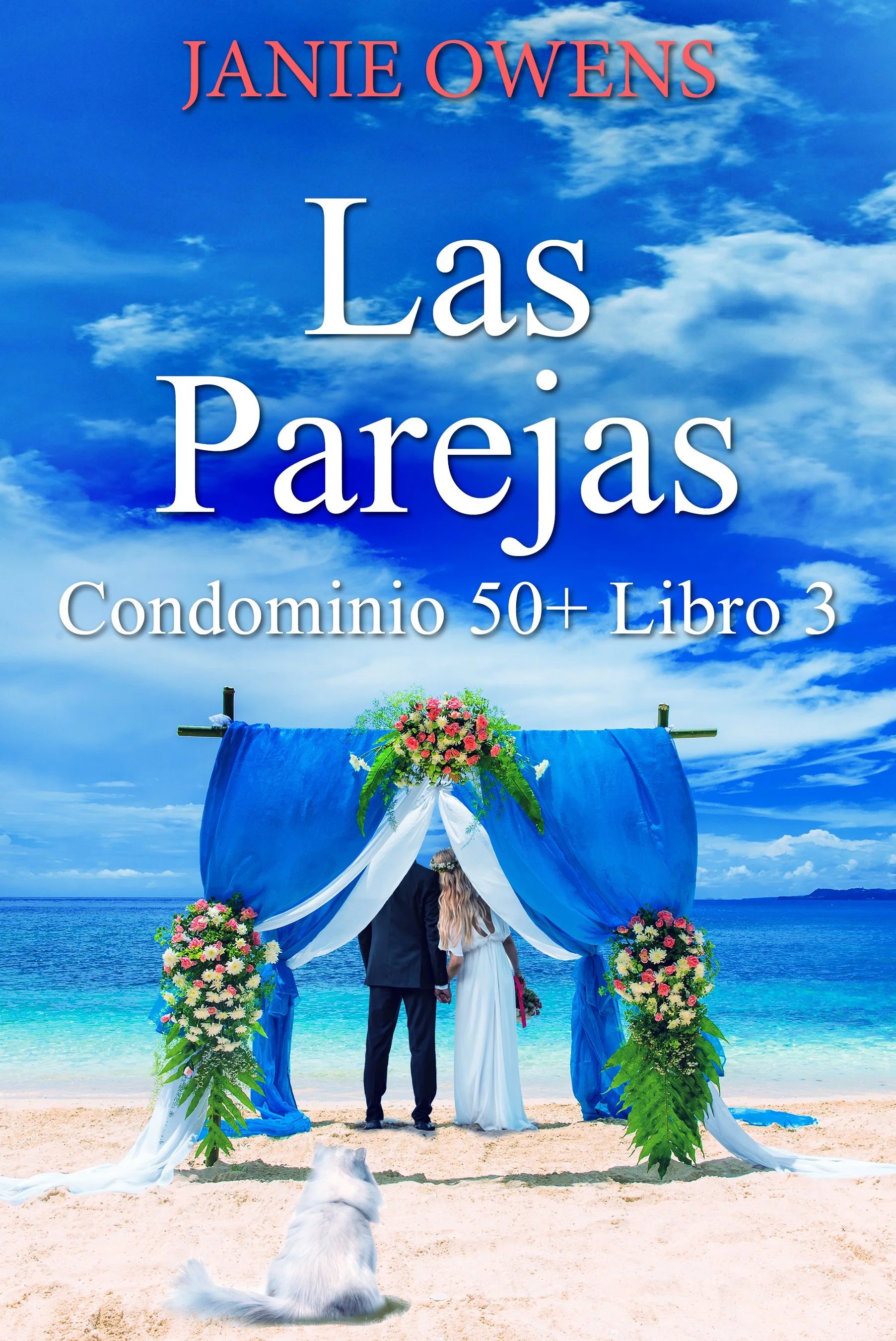 Las parejas (Condominio 50+ Libro 3)