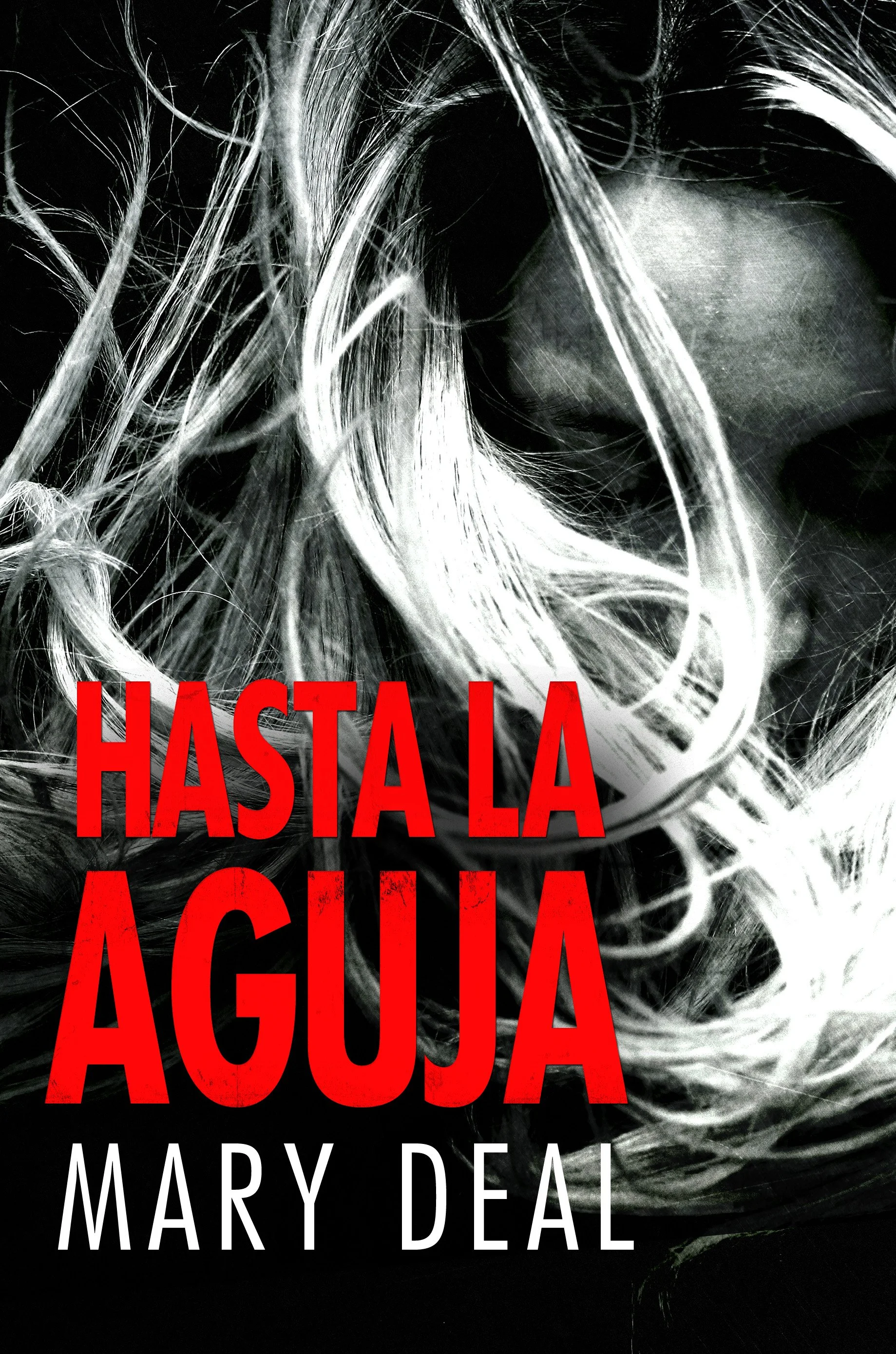 Hasta la Aguja