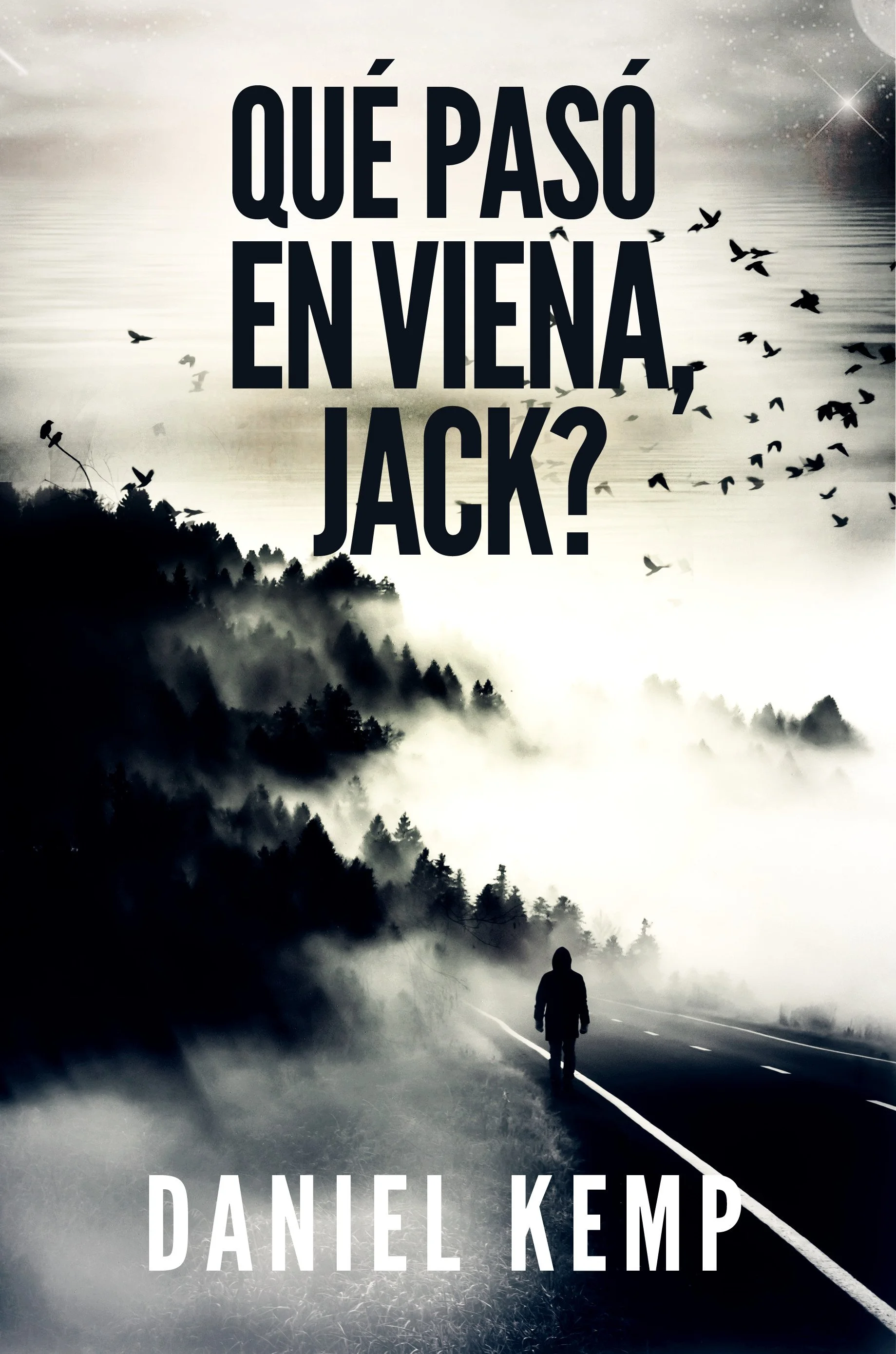 Qué pasó en Viena, Jack? (Mentiras y Consecuencias Libro 1)