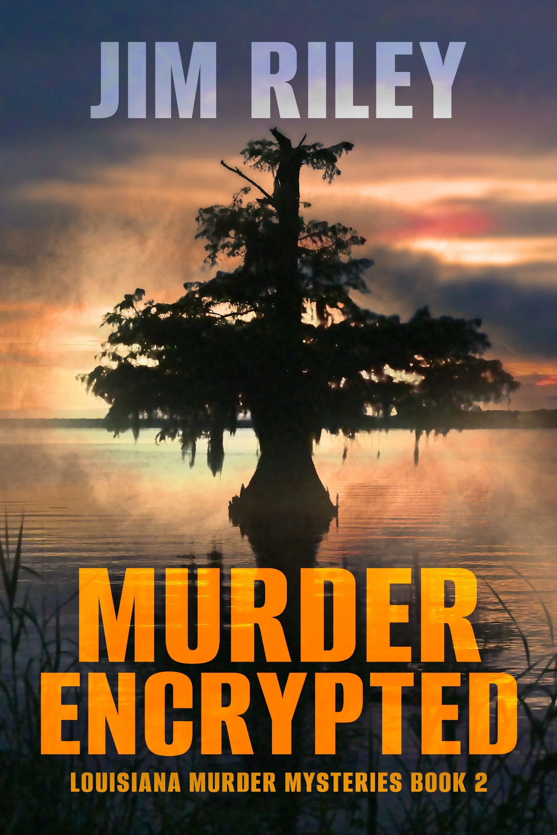 Murder Encrypted (Louisiana Murder Mysteries Book 2)