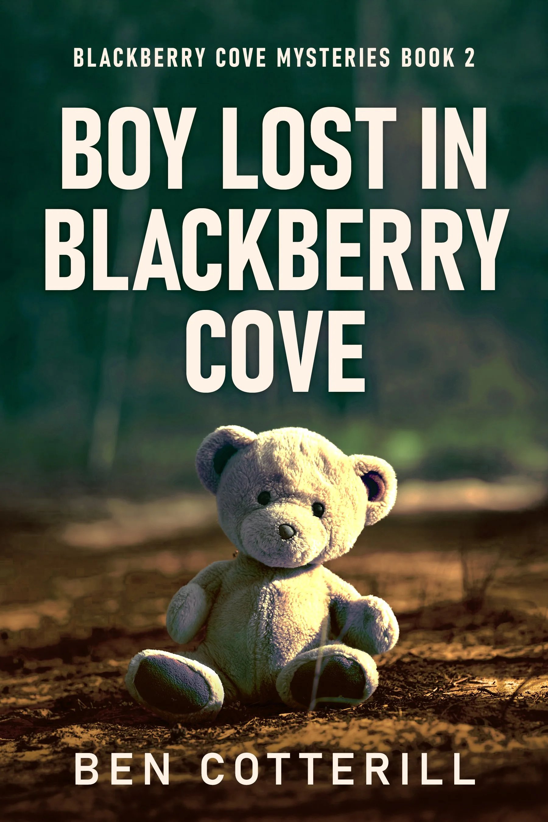 Boy Lost in Blackberry Cove (Blackberry Cove Mysteries Book 2)