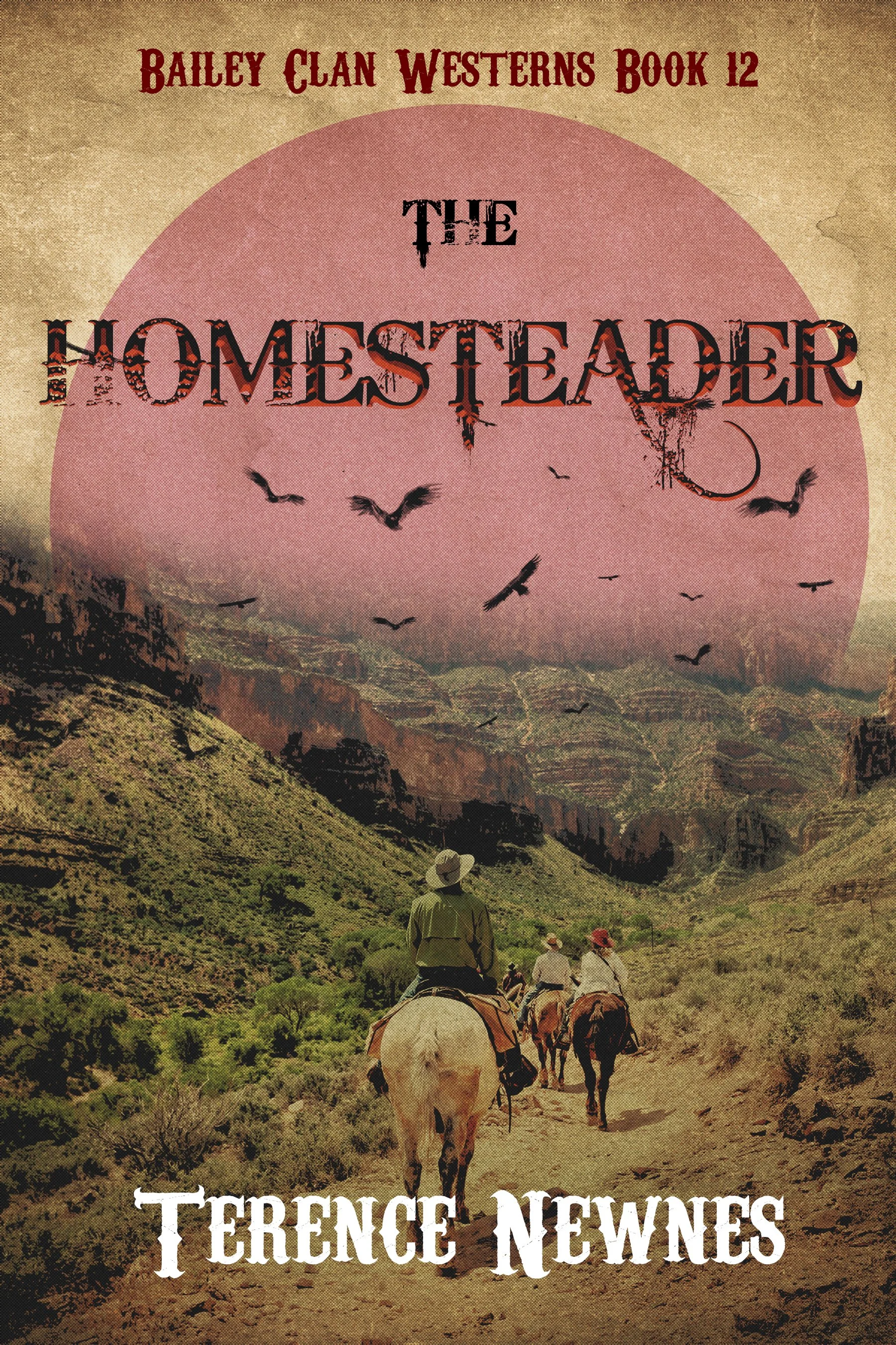 The Homesteader (Bailey Clan Westerns Book 12)