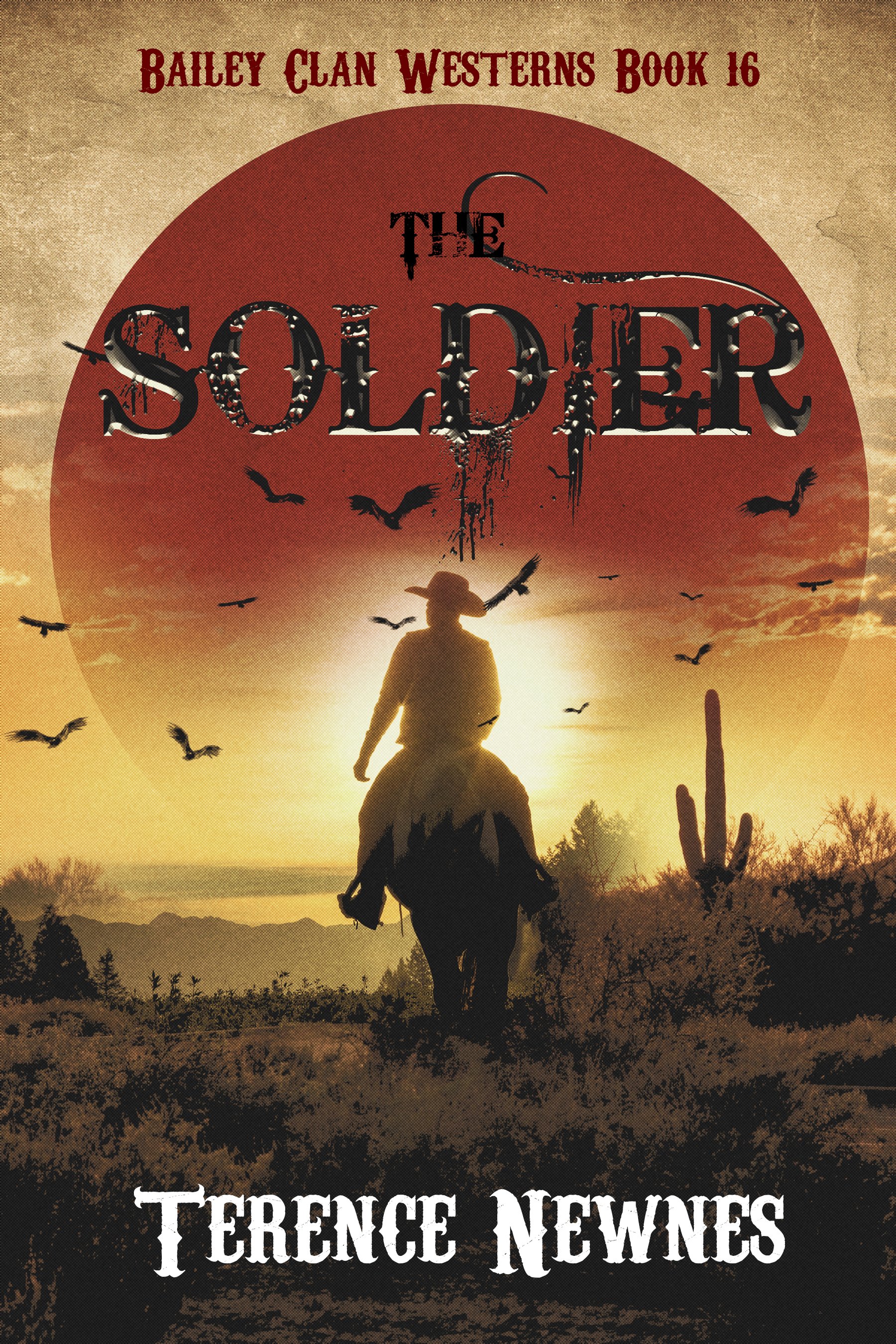 The Soldier (Bailey Clan Westerns Book 16)