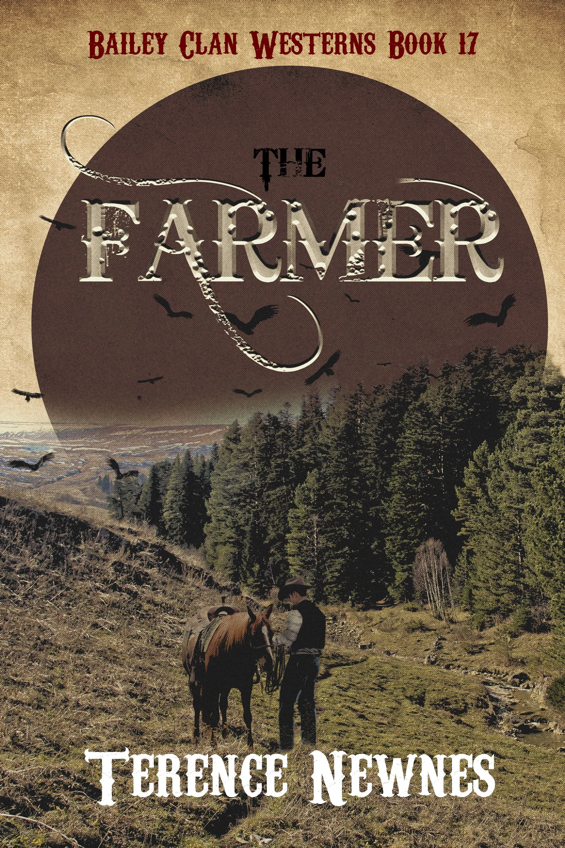 The Farmer (Bailey Clan Westerns Book 17)