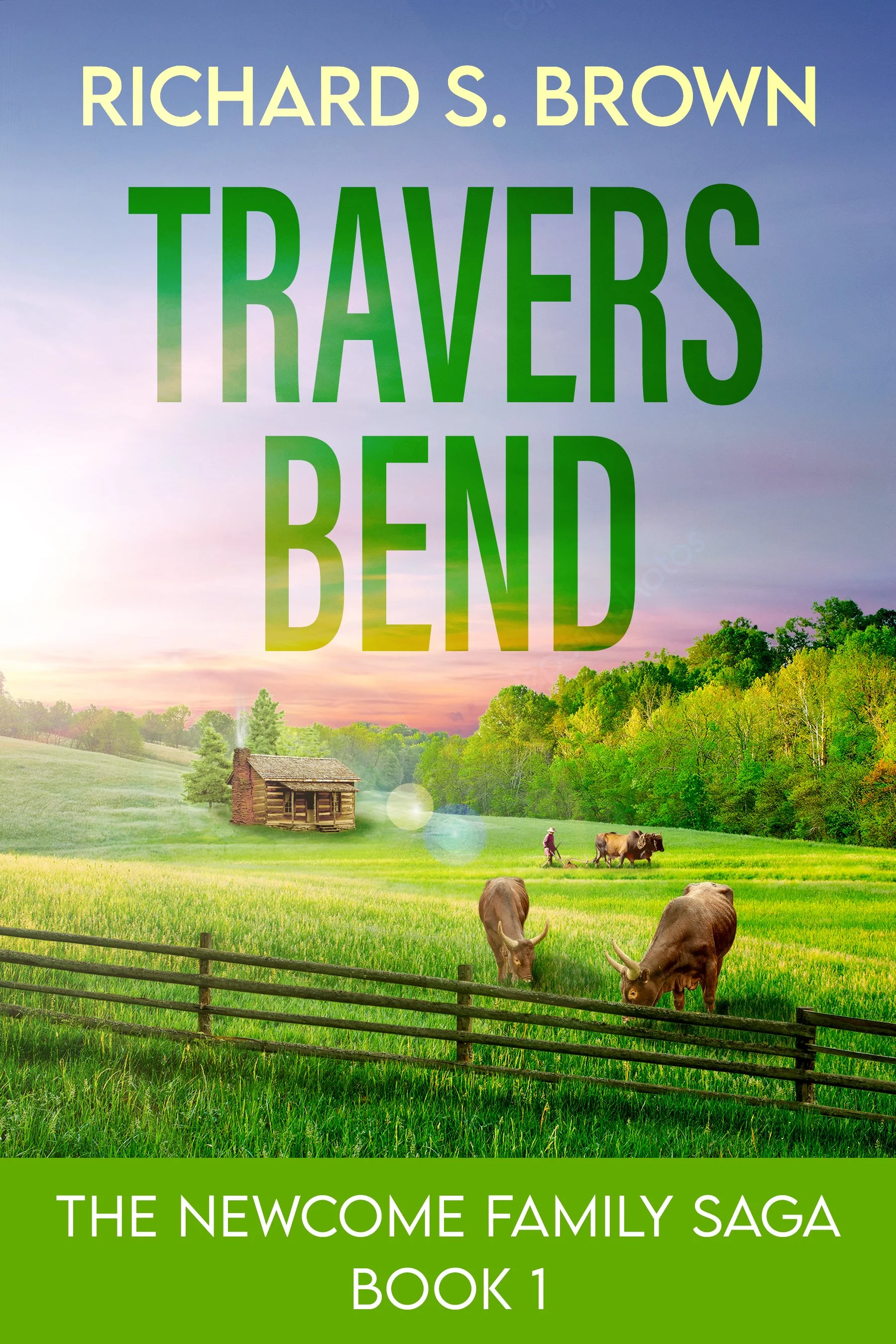 Travers Bend (The Newcome Family Saga Book 1)