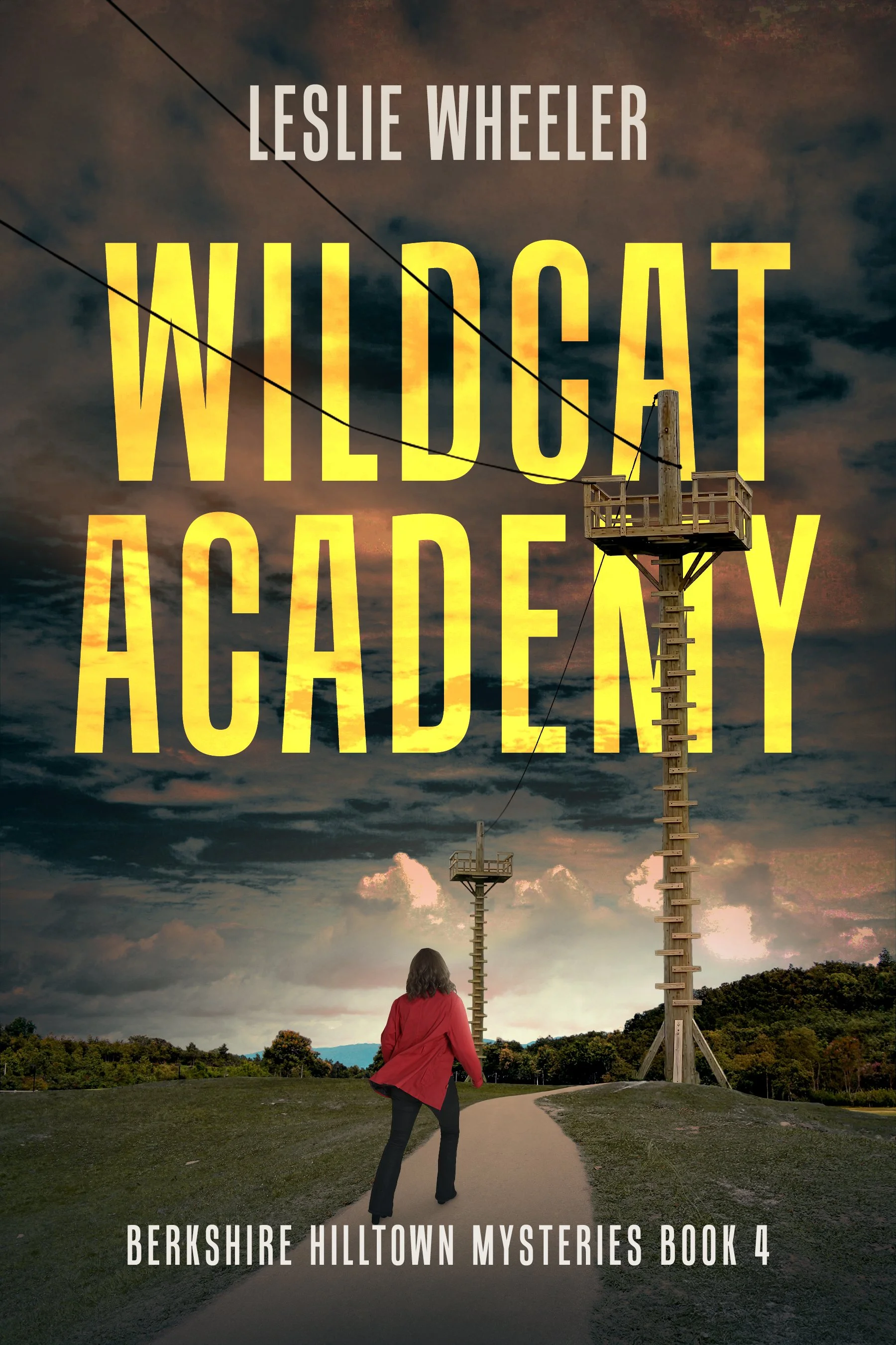 Wildcat Academy (Berkshire Hilltown Mysteries Book 4)