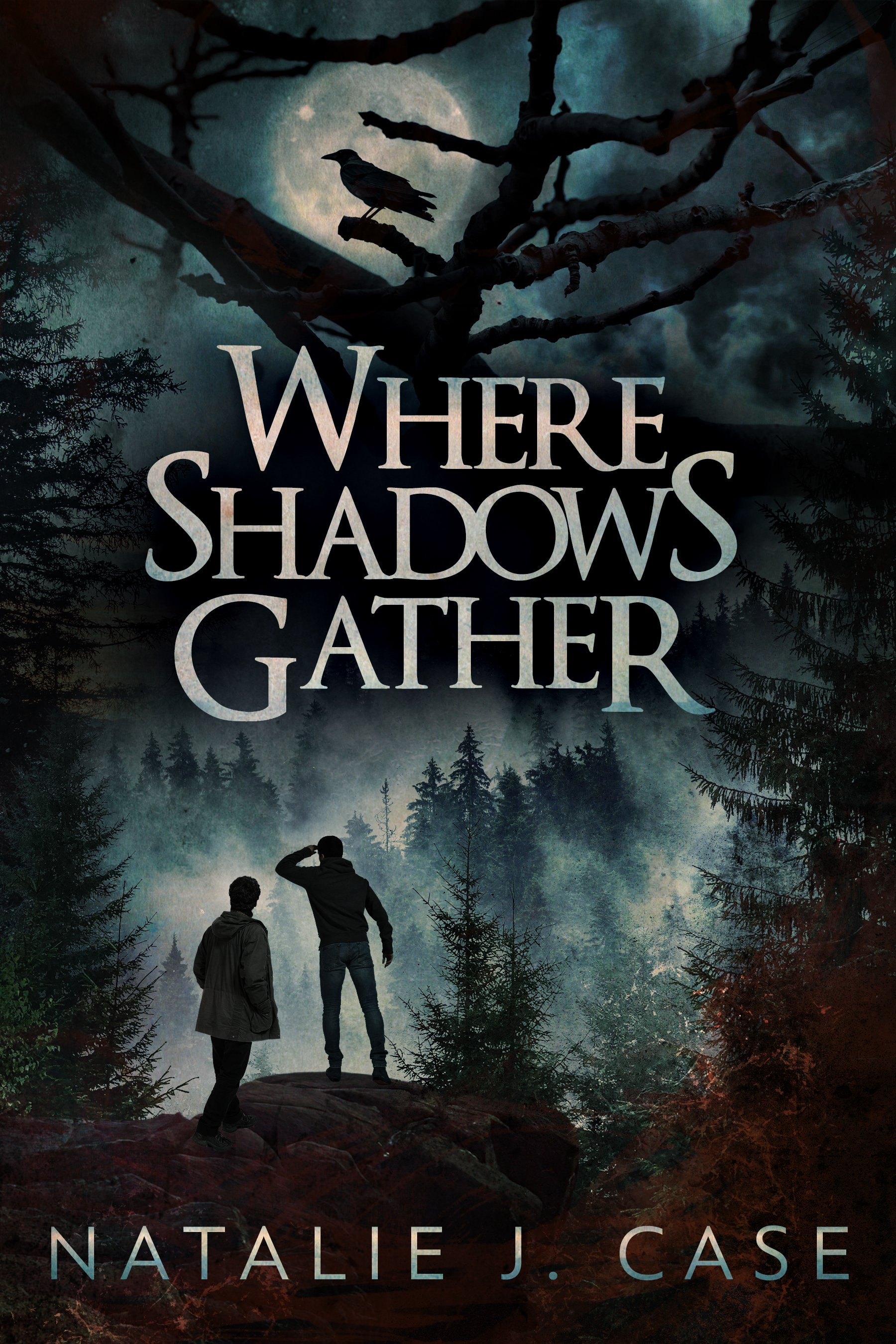 Where Shadows Gather (Shades and Shadows Book 4)