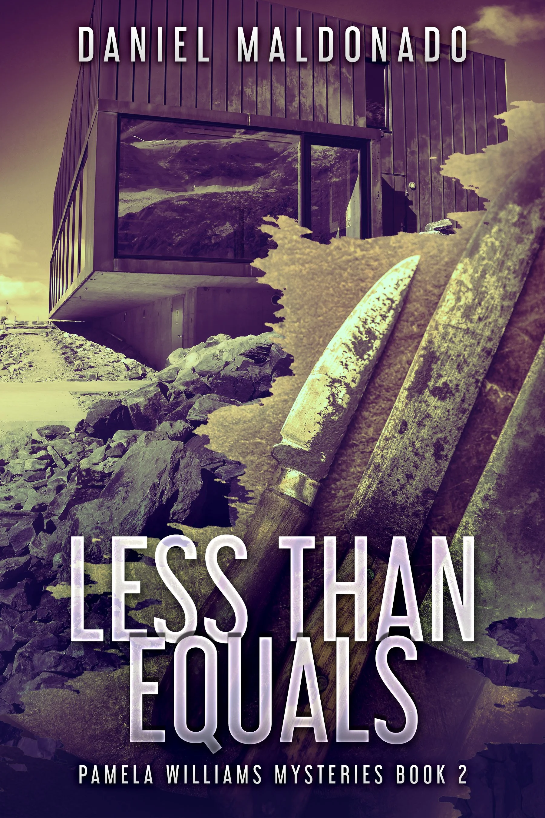 Less Than Equals (Pamela Williams Mysteries Book 2)