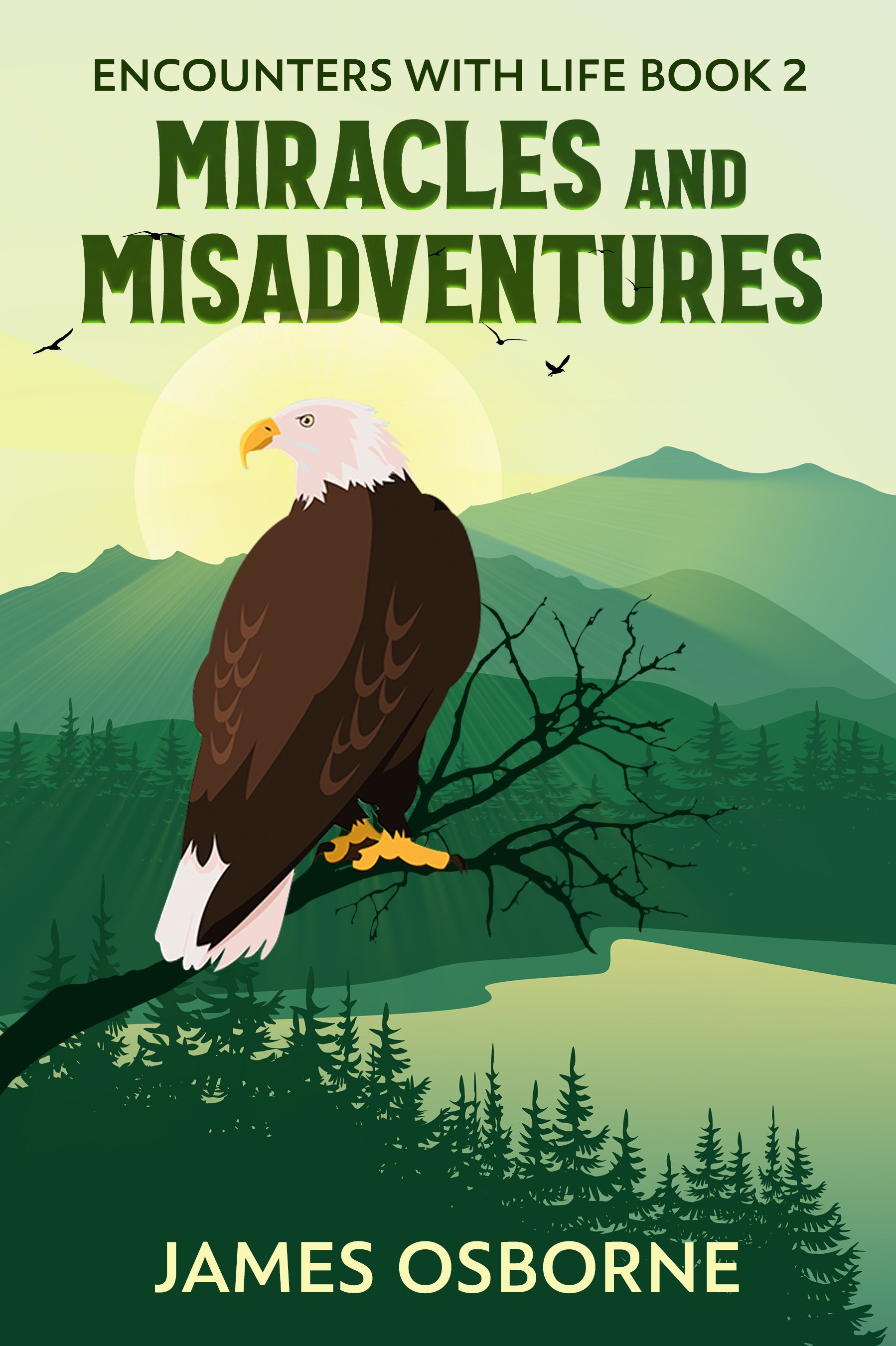 Miracles and Misadventures (Encounters with Life Book 2)